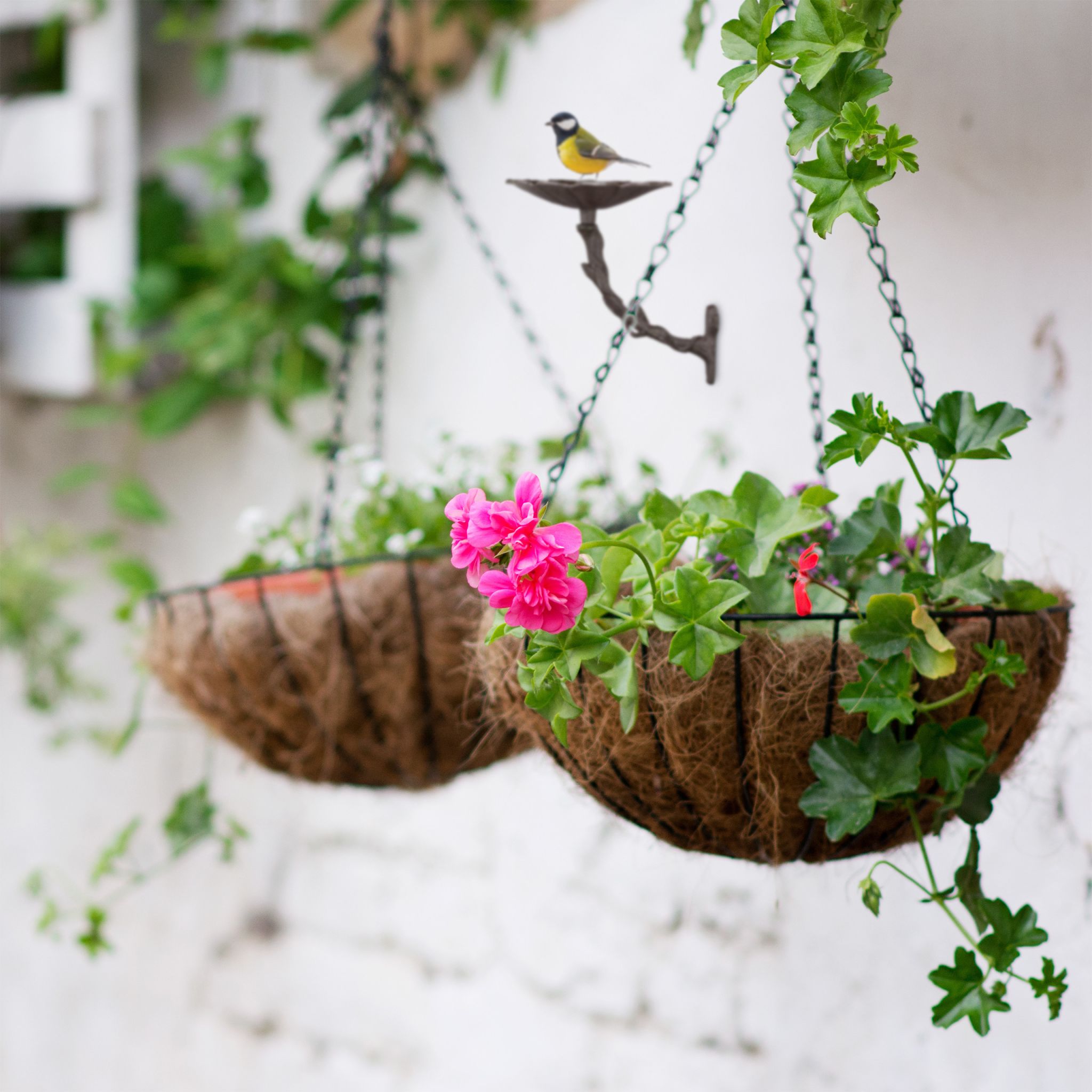 Vogeltränke Blüte Gusseisen Braun