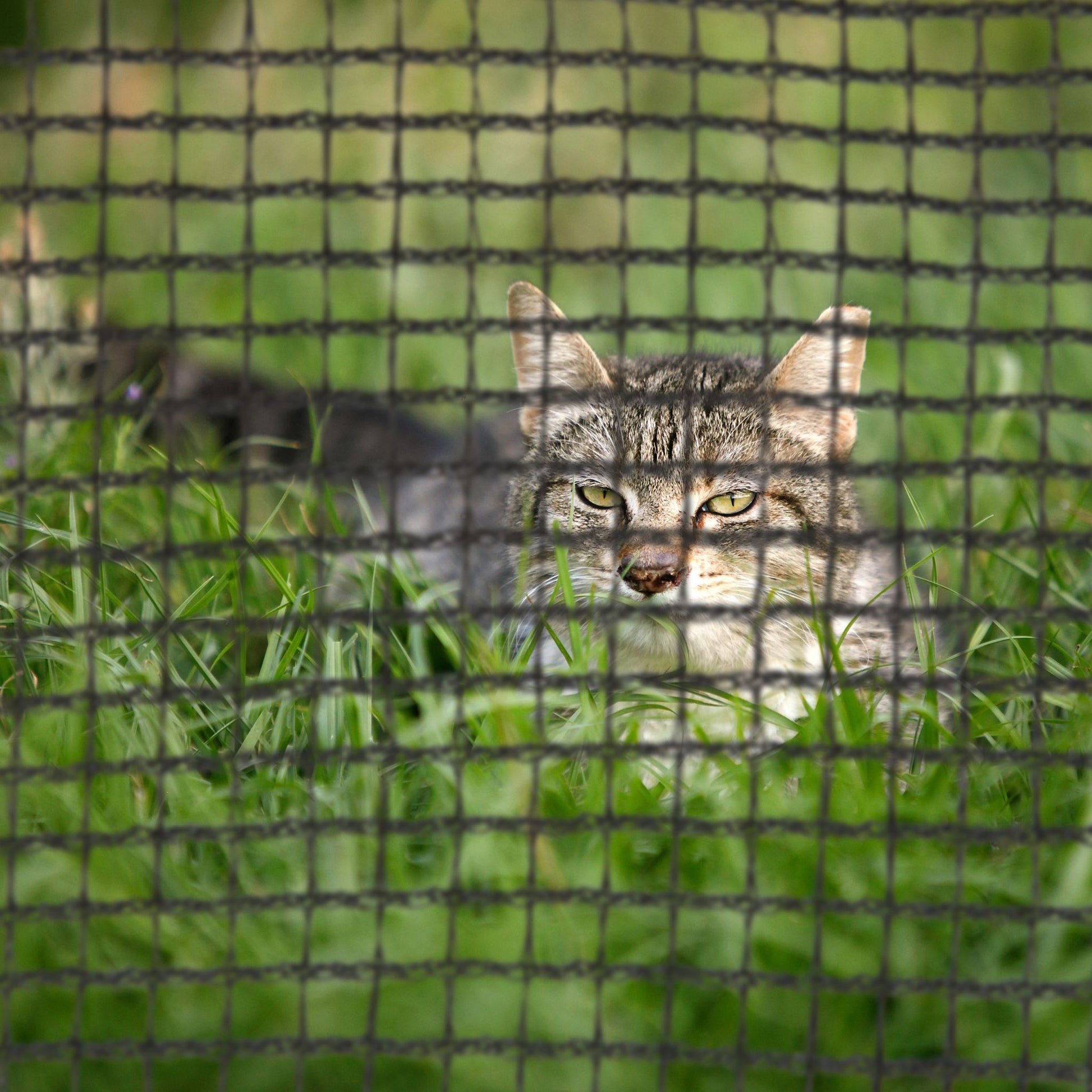 Rahmennetz Trampolin Schwarz von Relaxdays