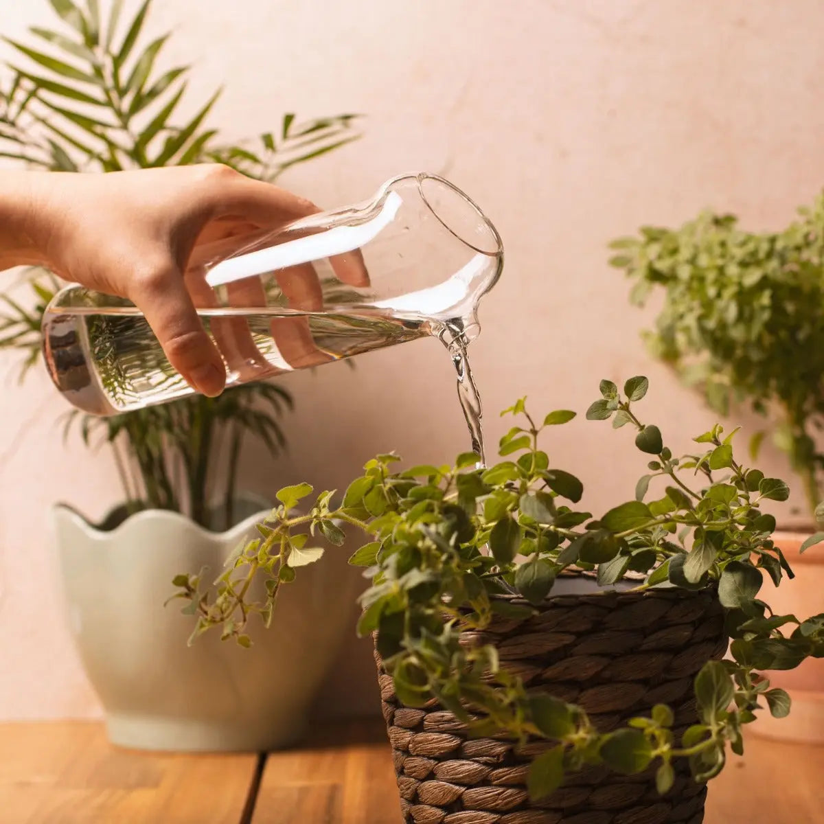 Plant Buddy Giesskanne von Thumbs Up