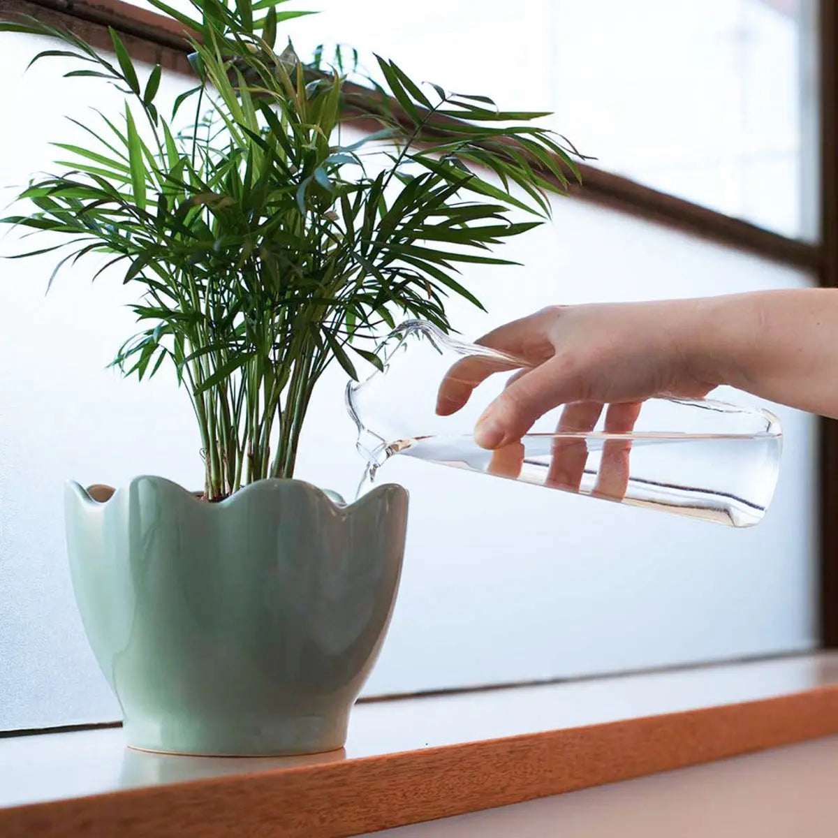 Plant Buddy Giesskanne von Thumbs Up