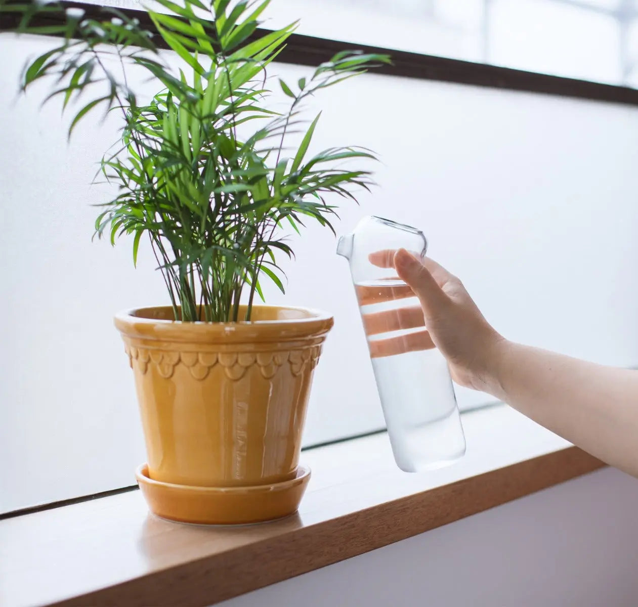 Plant Buddy Giesskanne von Thumbs Up