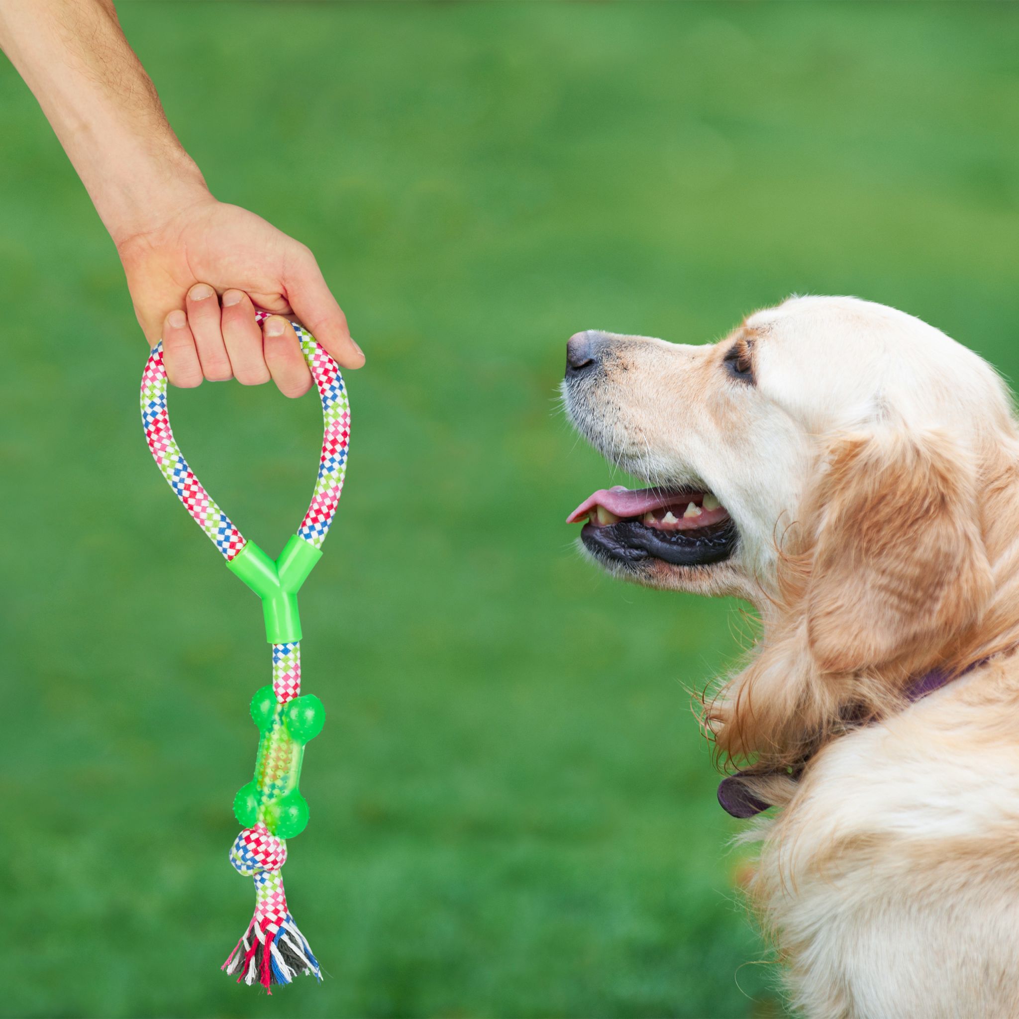 Hundespielzeug Set 10 teilig Blau-Grün-Orange von Relaxdays