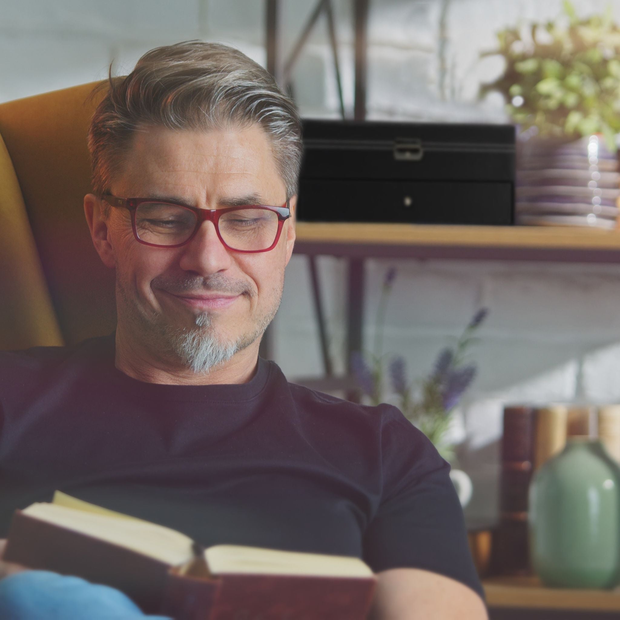 Brillenbox für 12 Brillen Schwarz-Transparent-Grau von Relaxdays