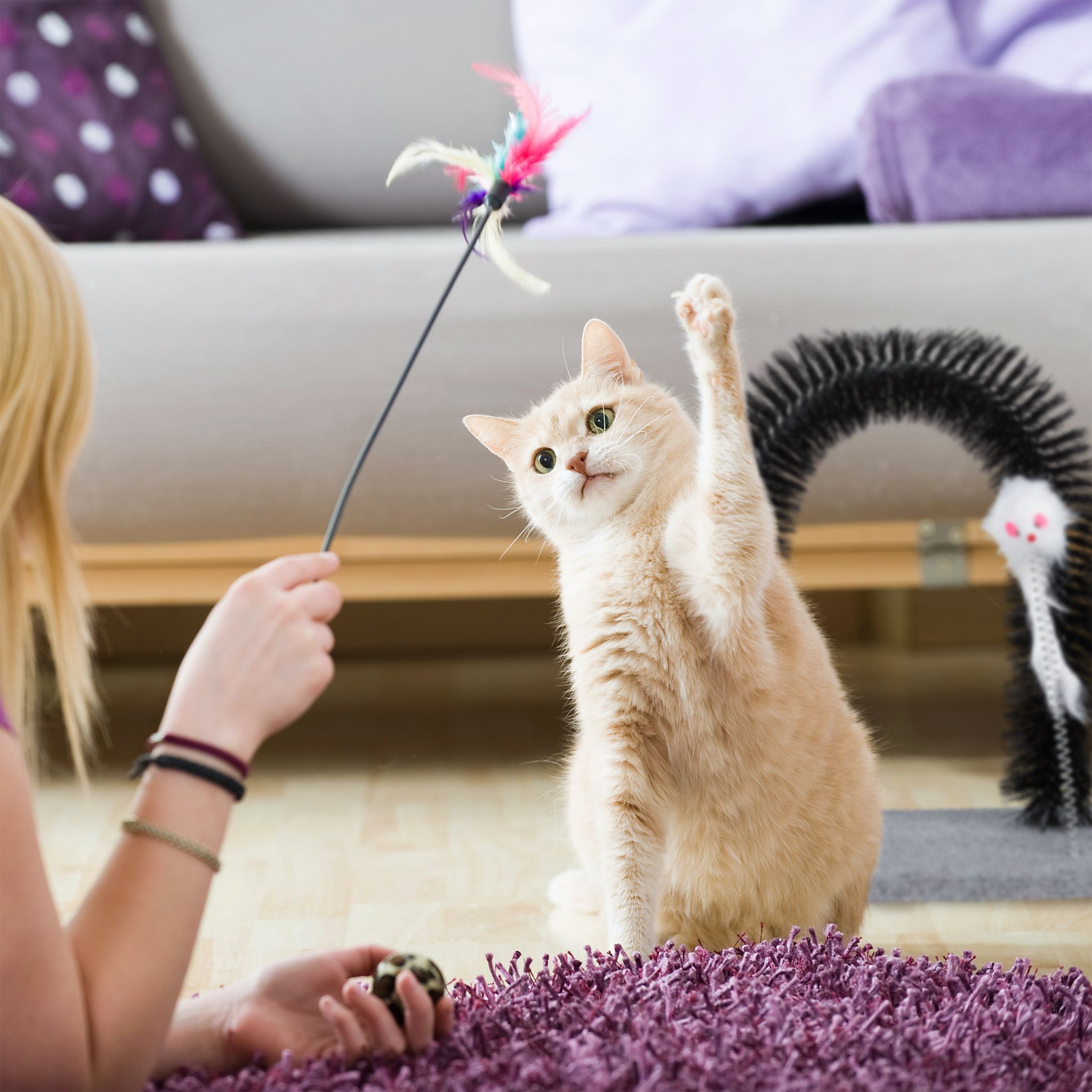 Kratzbogen für Katzen mit Spielmaus Weiss-Schwarz-Grau von Relaxdays