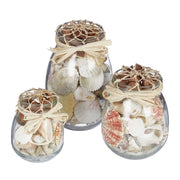 Muschel Deko 3er-Set Creme-Transparent von Relaxdays