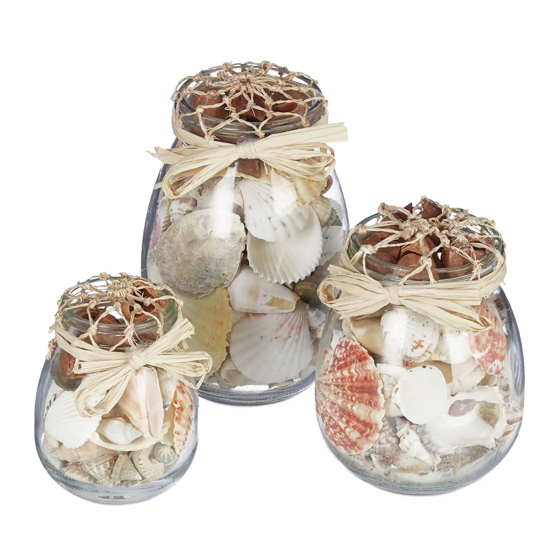 Muschel Deko 3er-Set Creme-Transparent von Relaxdays