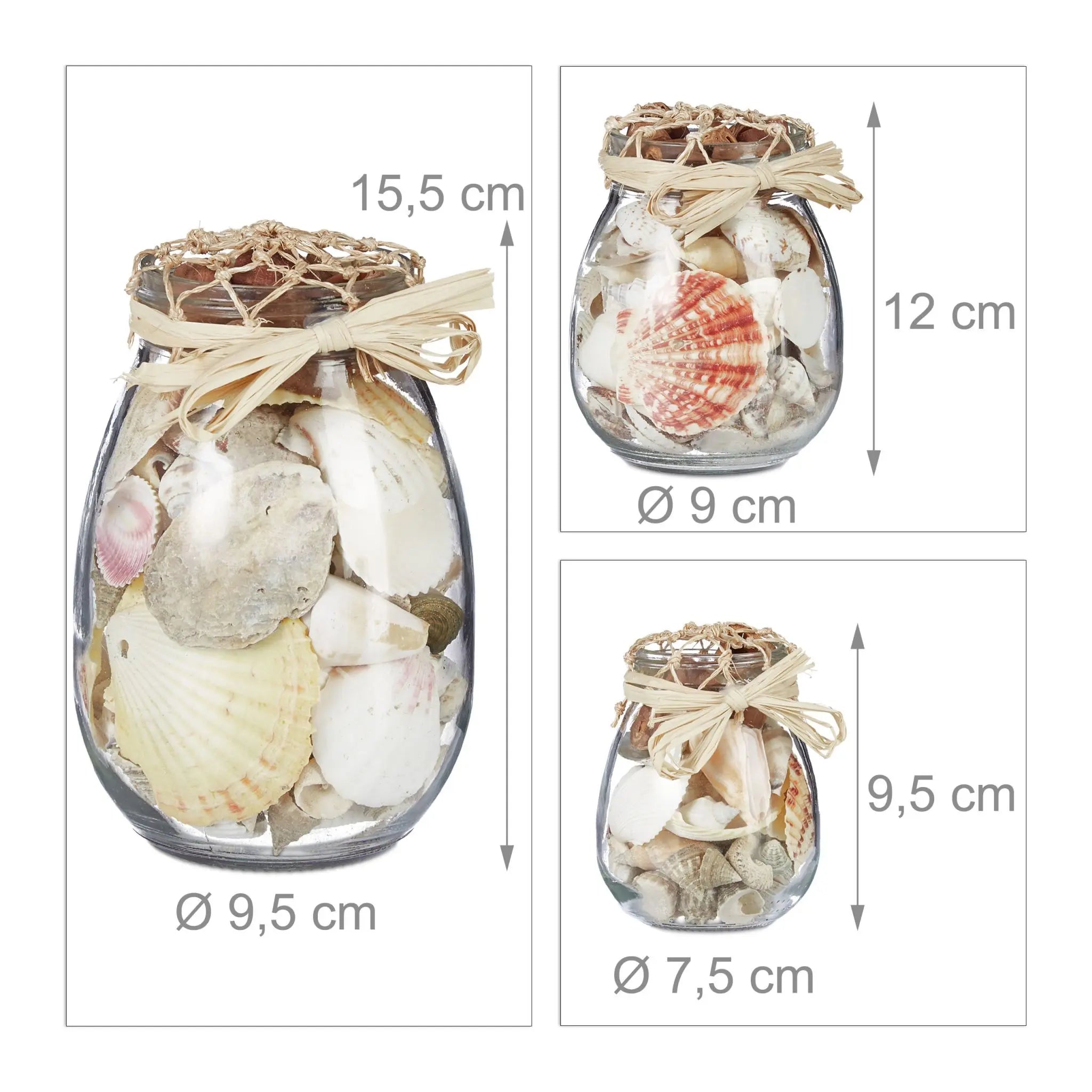 Muschel Deko 3er-Set Creme-Transparent von Relaxdays