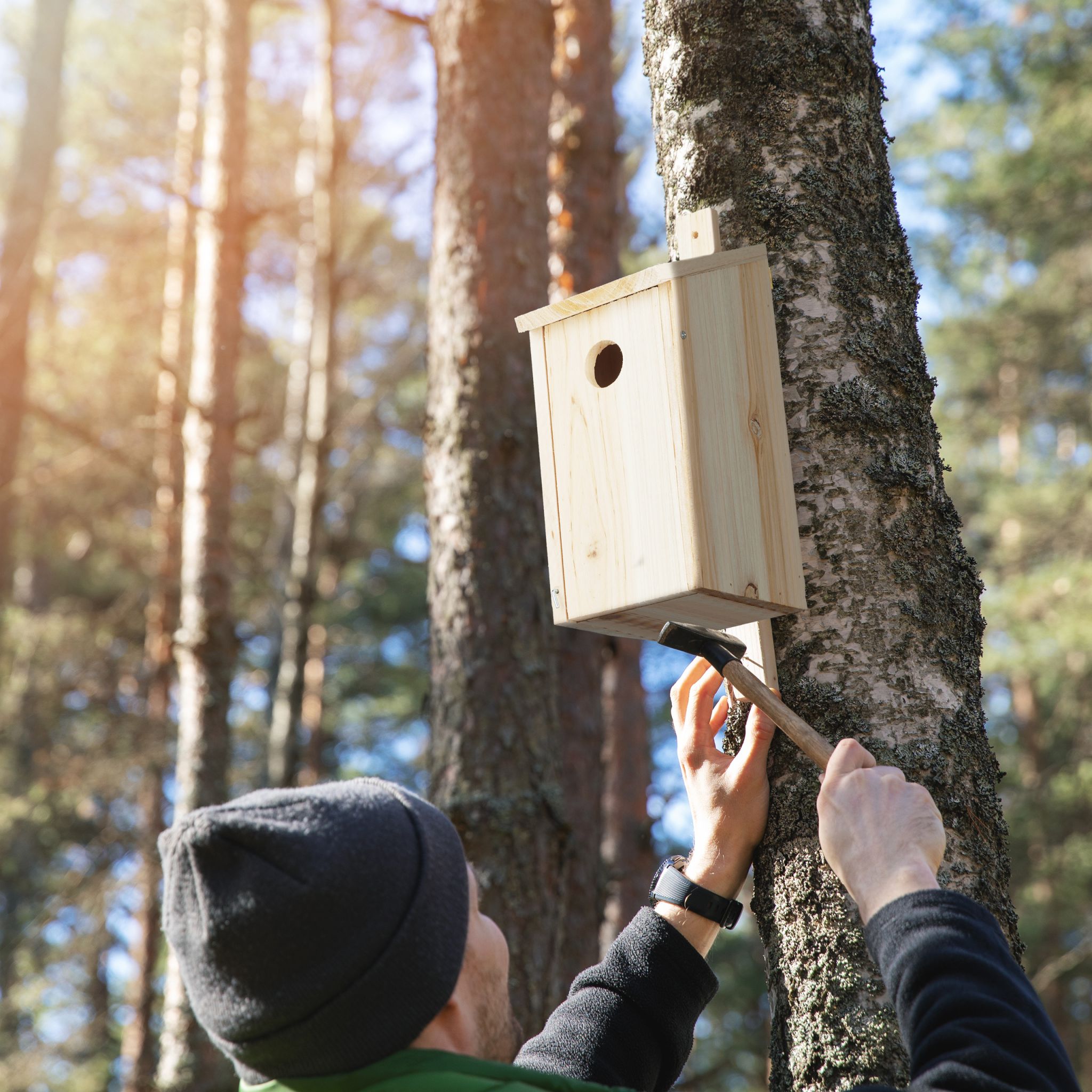 Nistkasten Holz zum Aufhängen Hellbraun von Relaxdays