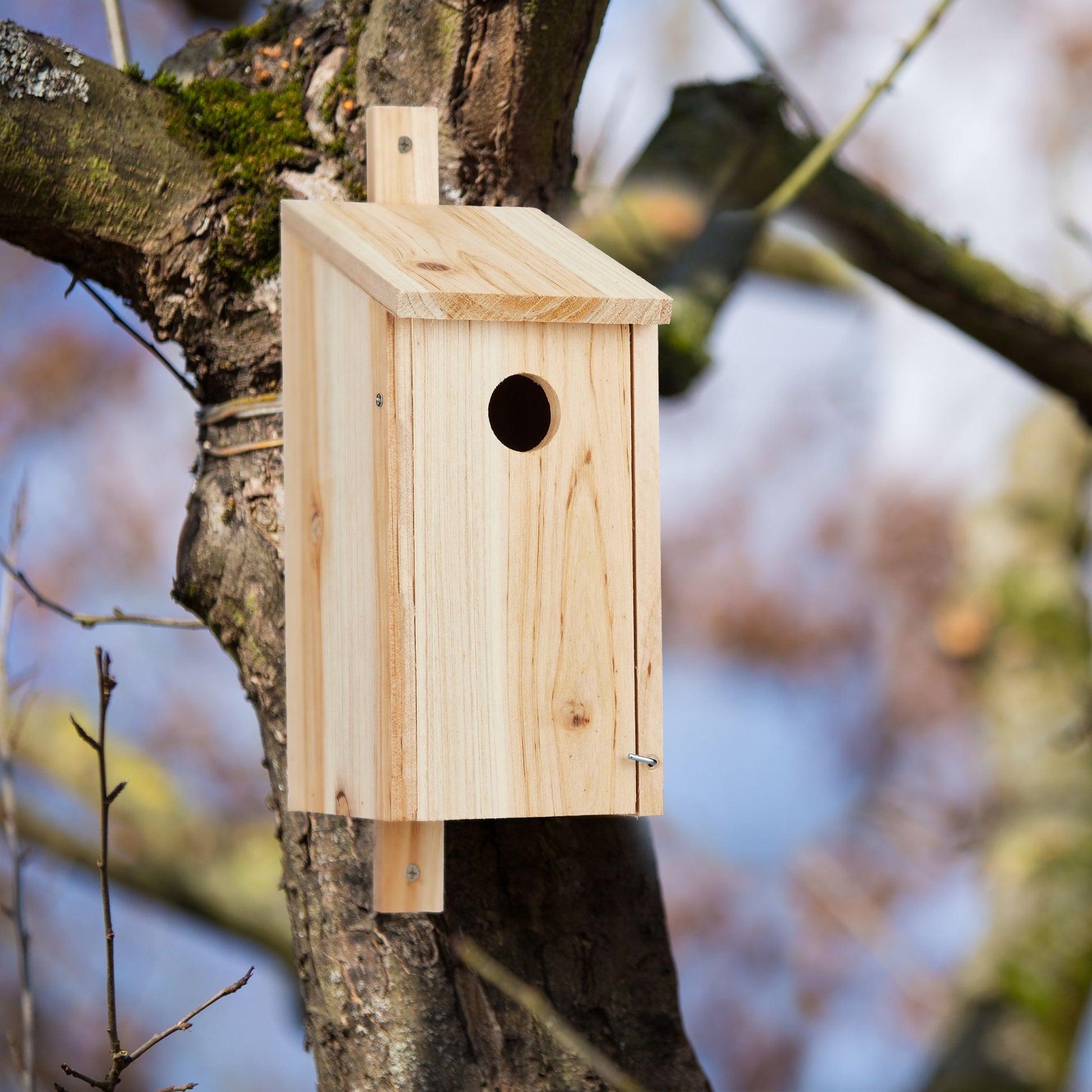 Nistkasten Holz zum Aufhängen Hellbraun von Relaxdays