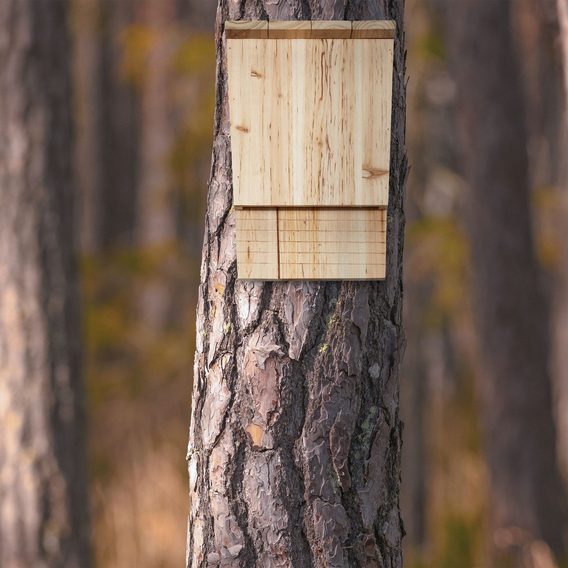 Fledermauskasten Holz Hellbraun von Relaxdays