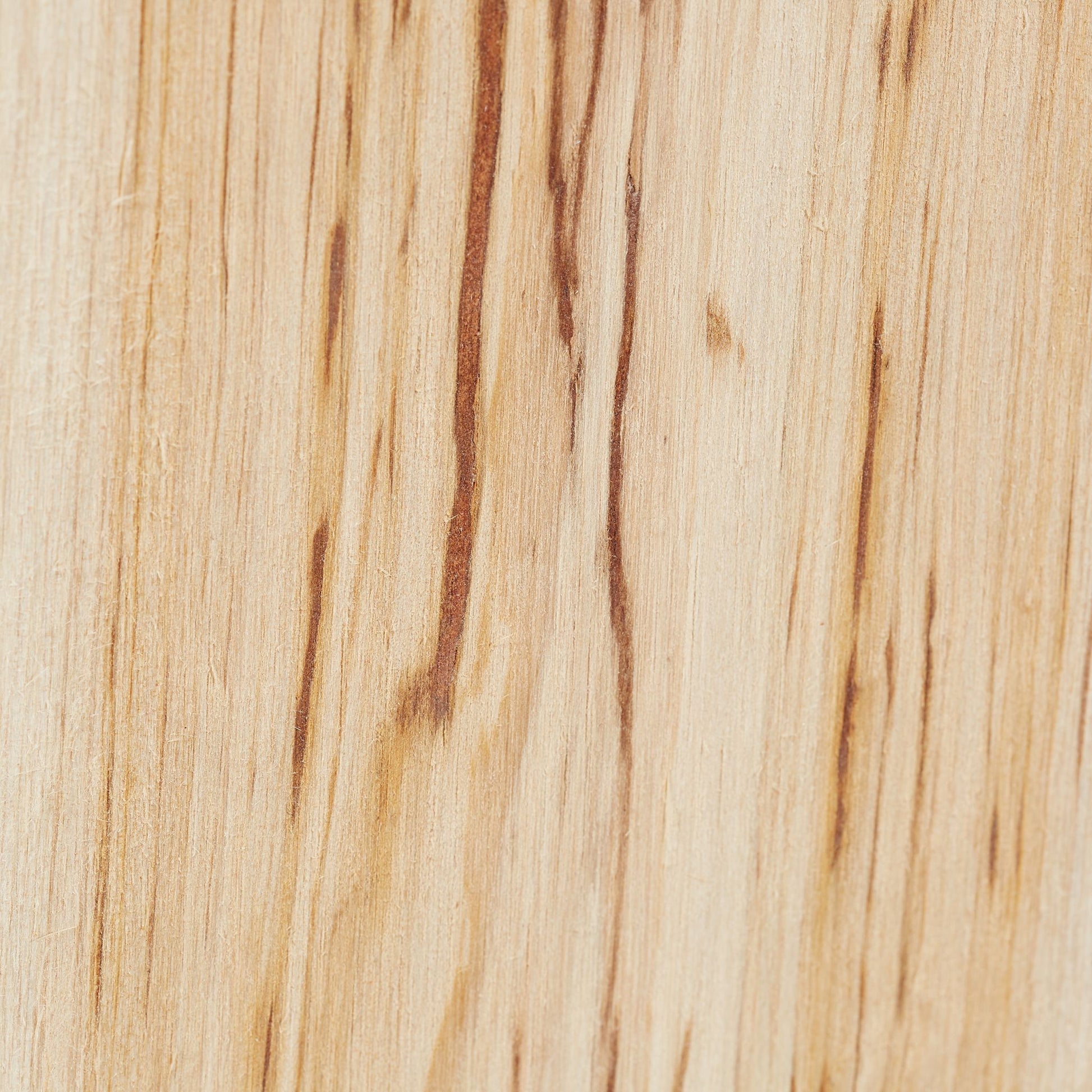 Fledermauskasten Holz Hellbraun von Relaxdays
