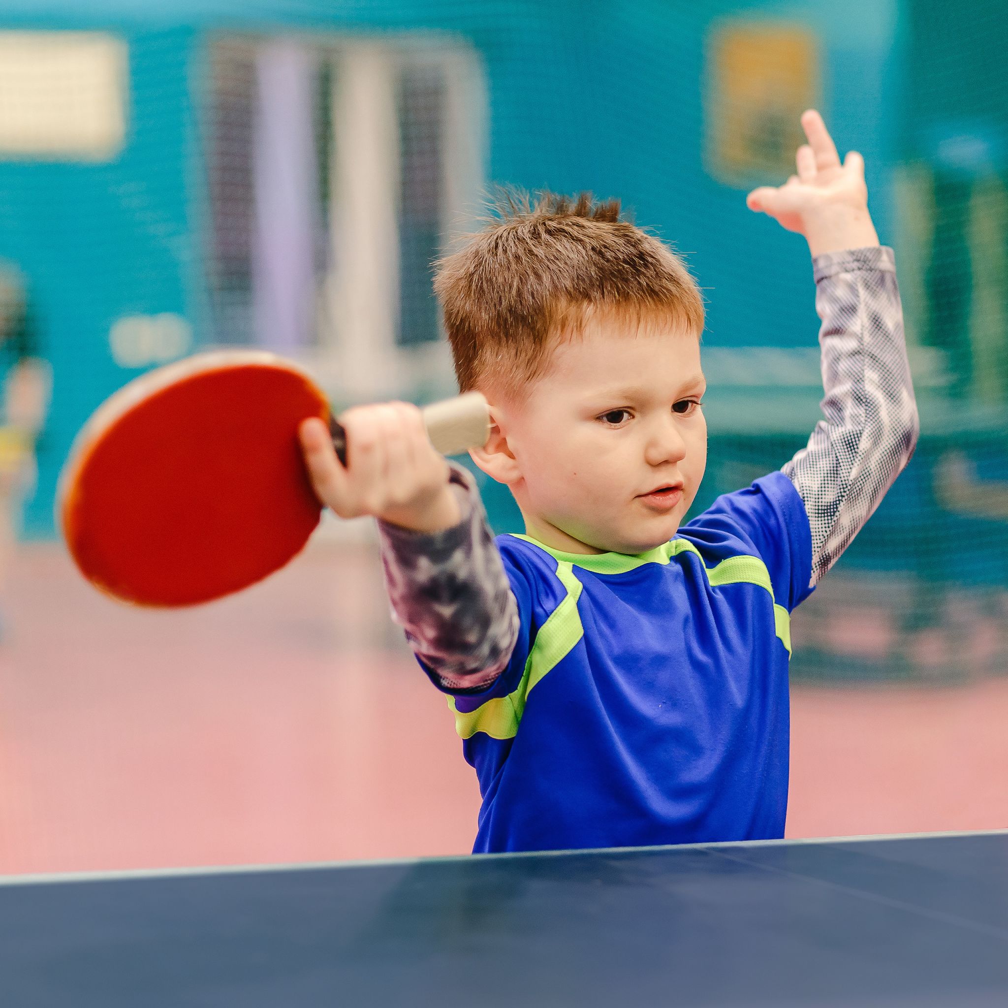 Klappbare Tischtennisplatte mit Zubehör Dunkelblau-Rot-Silber von Relaxdays
