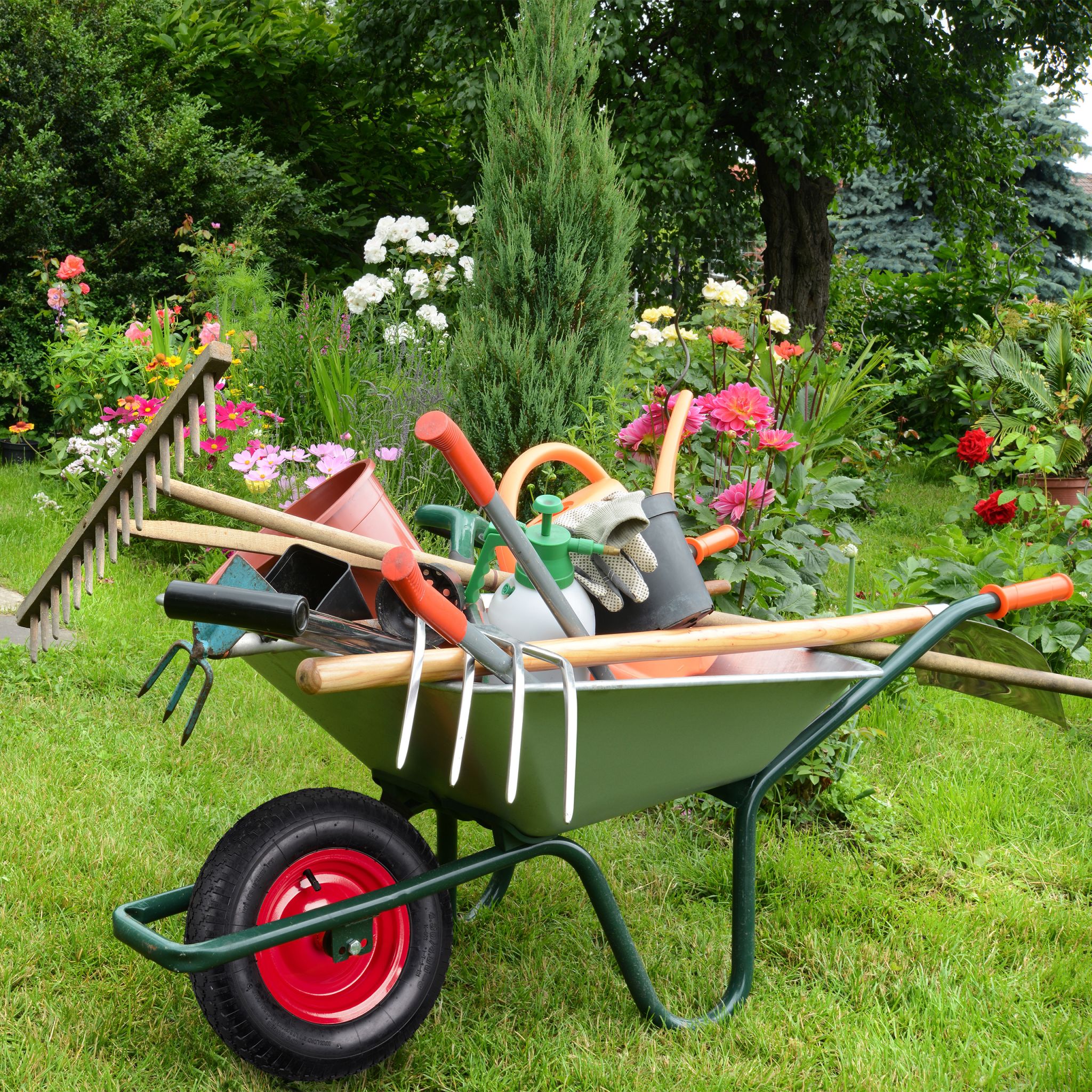 Schubkarrenrad 4.80 4.00-8 mit Adaptern Rot-Schwarz von Relaxdays