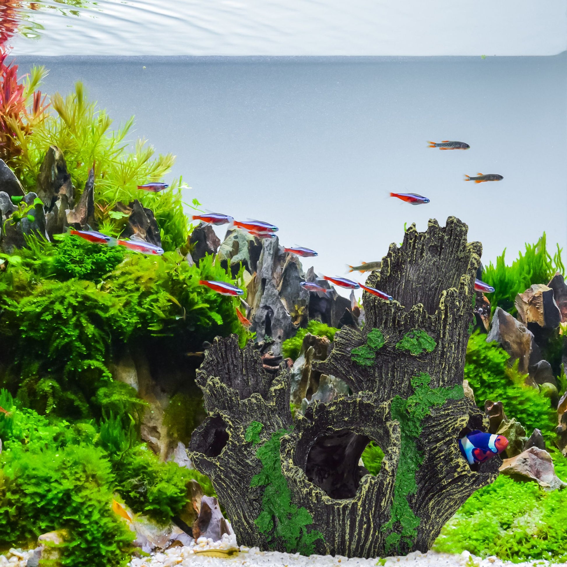 Aquarium Deko Baumstamm Grün-Schwarz von Relaxdays