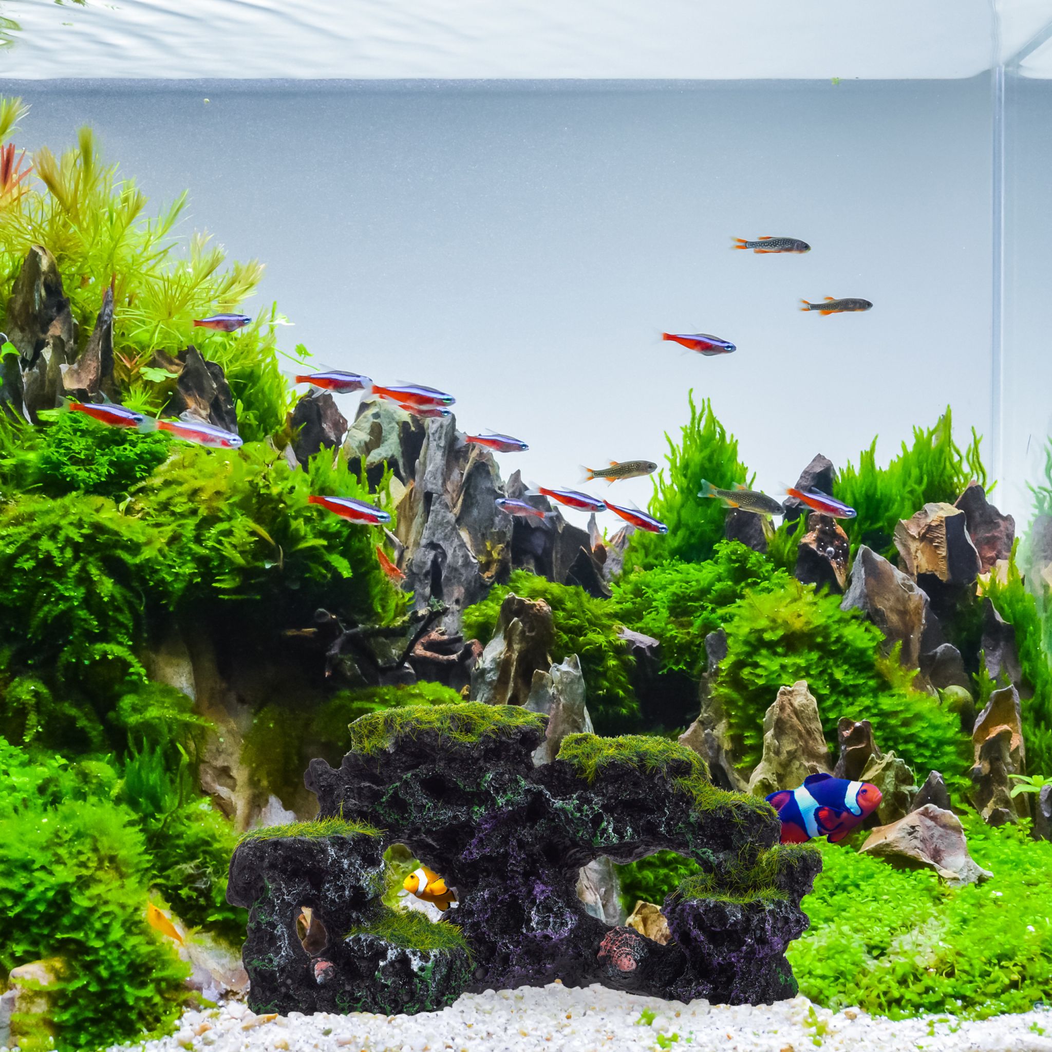 Aquarium Deko Stein Grün-Schwarz von Relaxdays