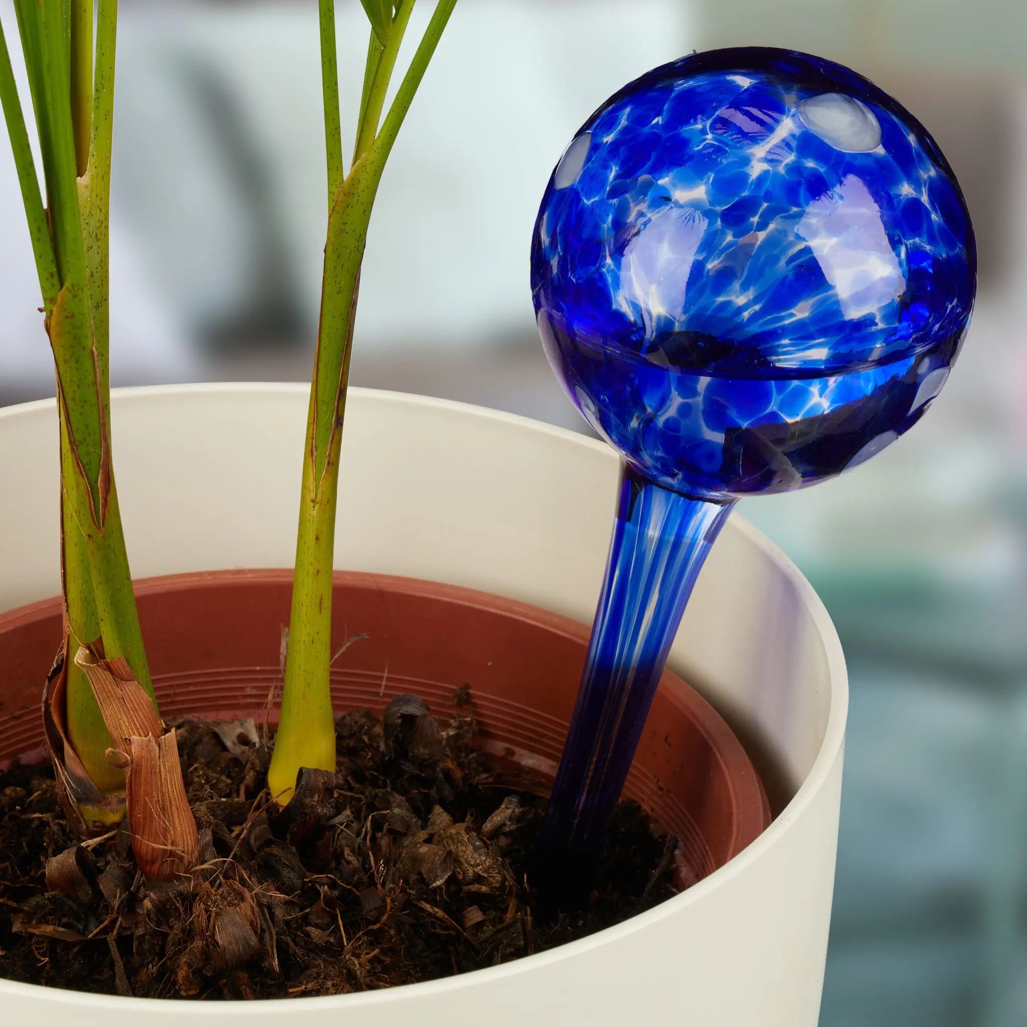 Bewässerungskugel 2er-Set Glas Dunkelblau von Relaxdays