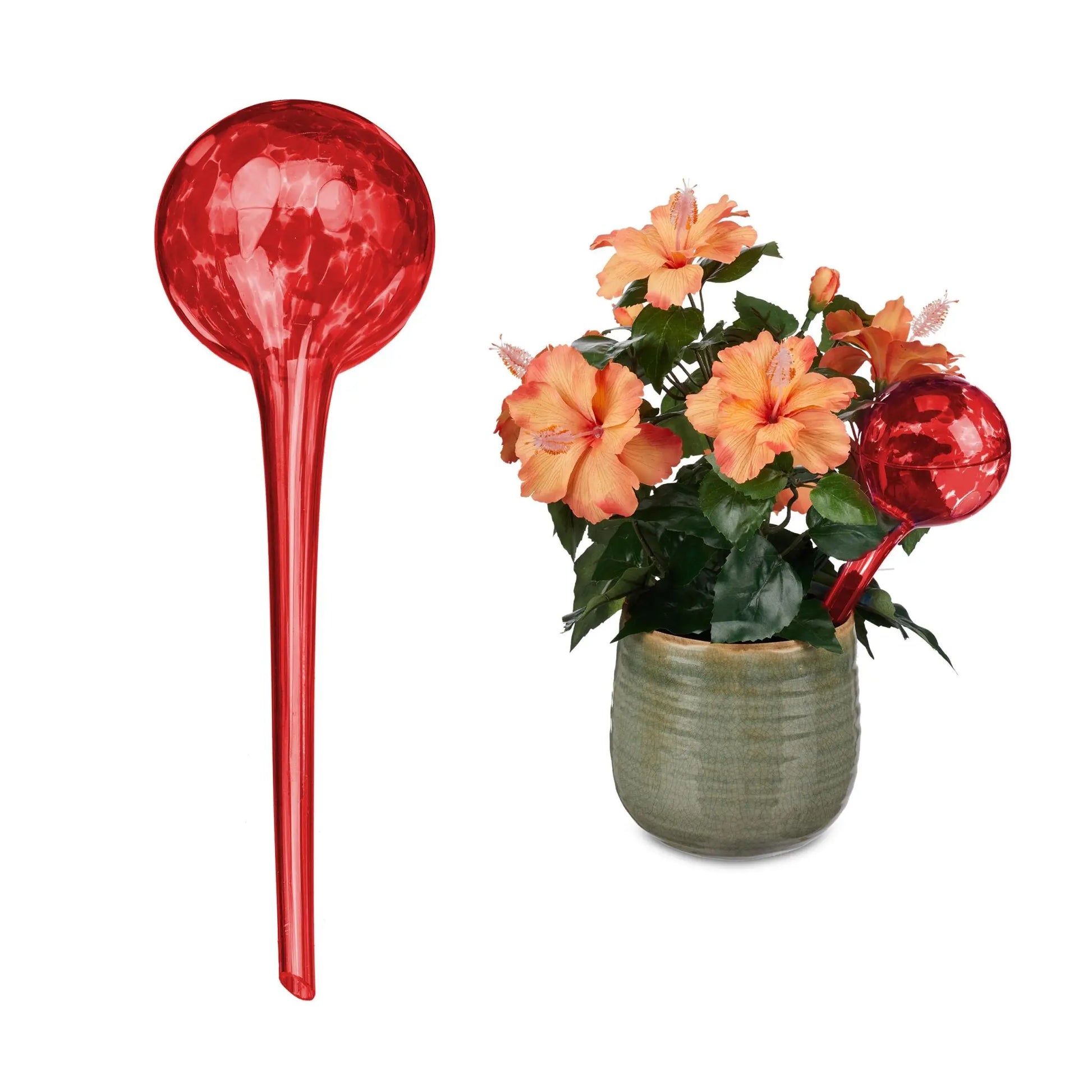 Bewässerungskugel 2er-Set Glas Rot von Relaxdays