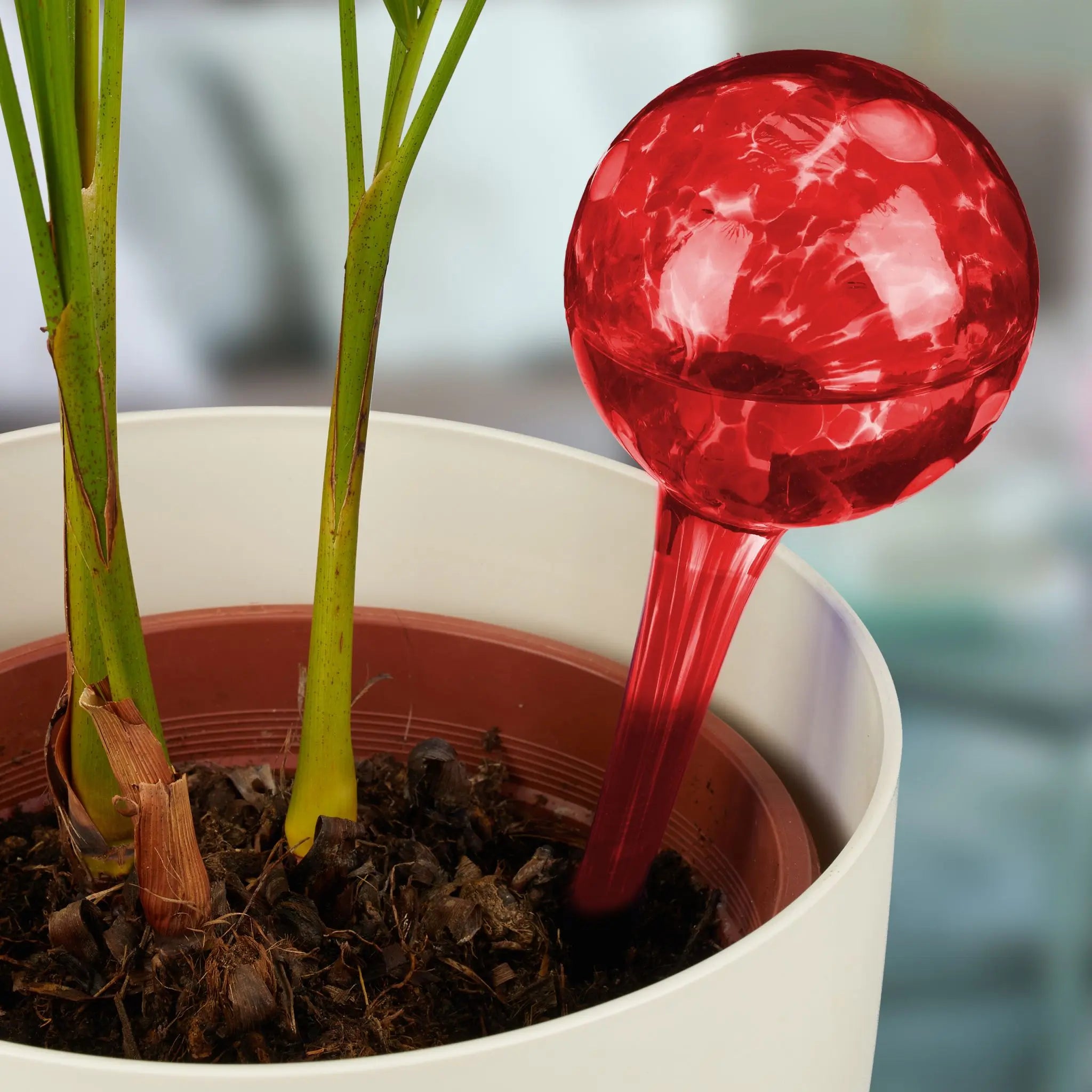 Bewässerungskugel 2er-Set Glas Rot von Relaxdays