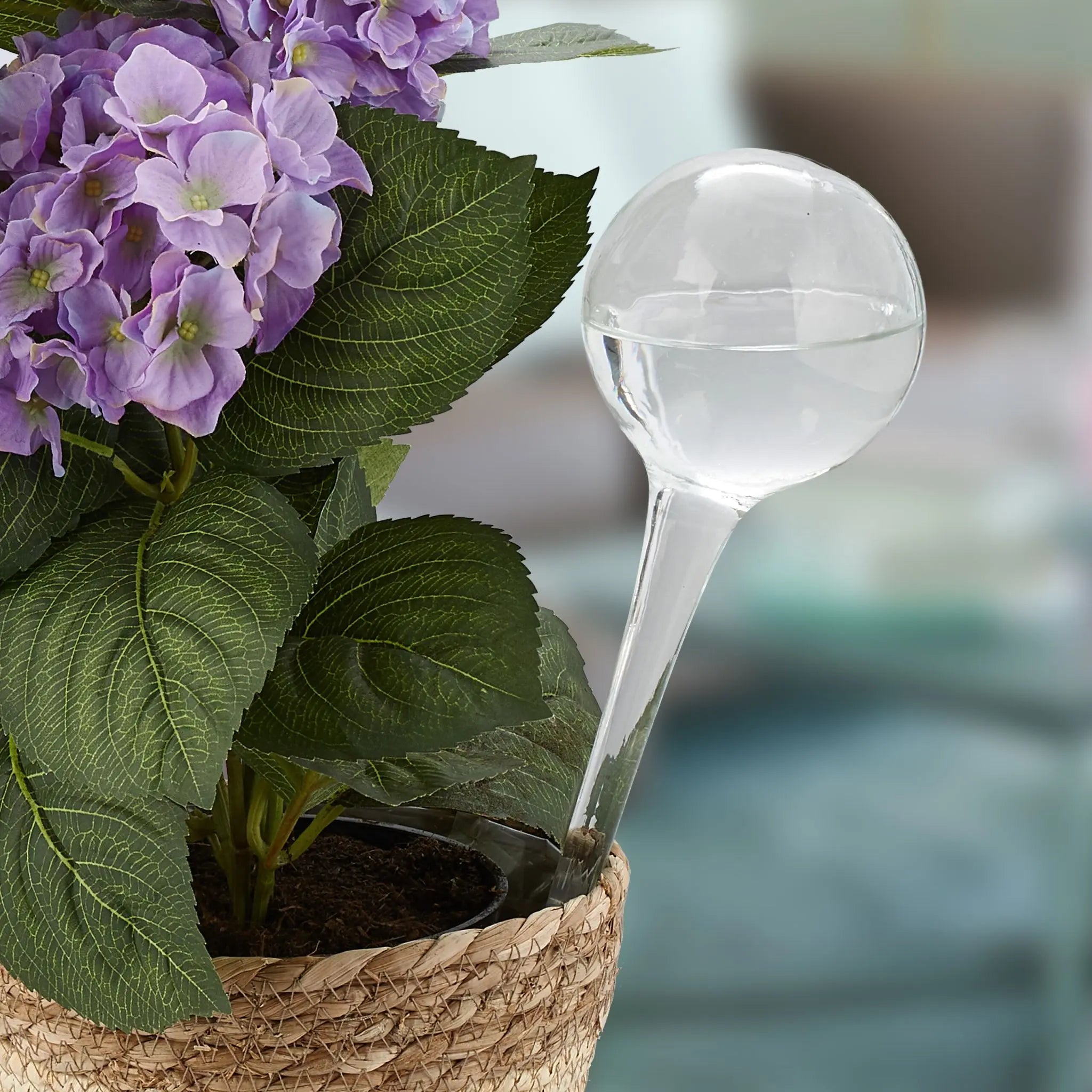 Bewässerungskugel 2er-Set Glas Transparent von Relaxdays