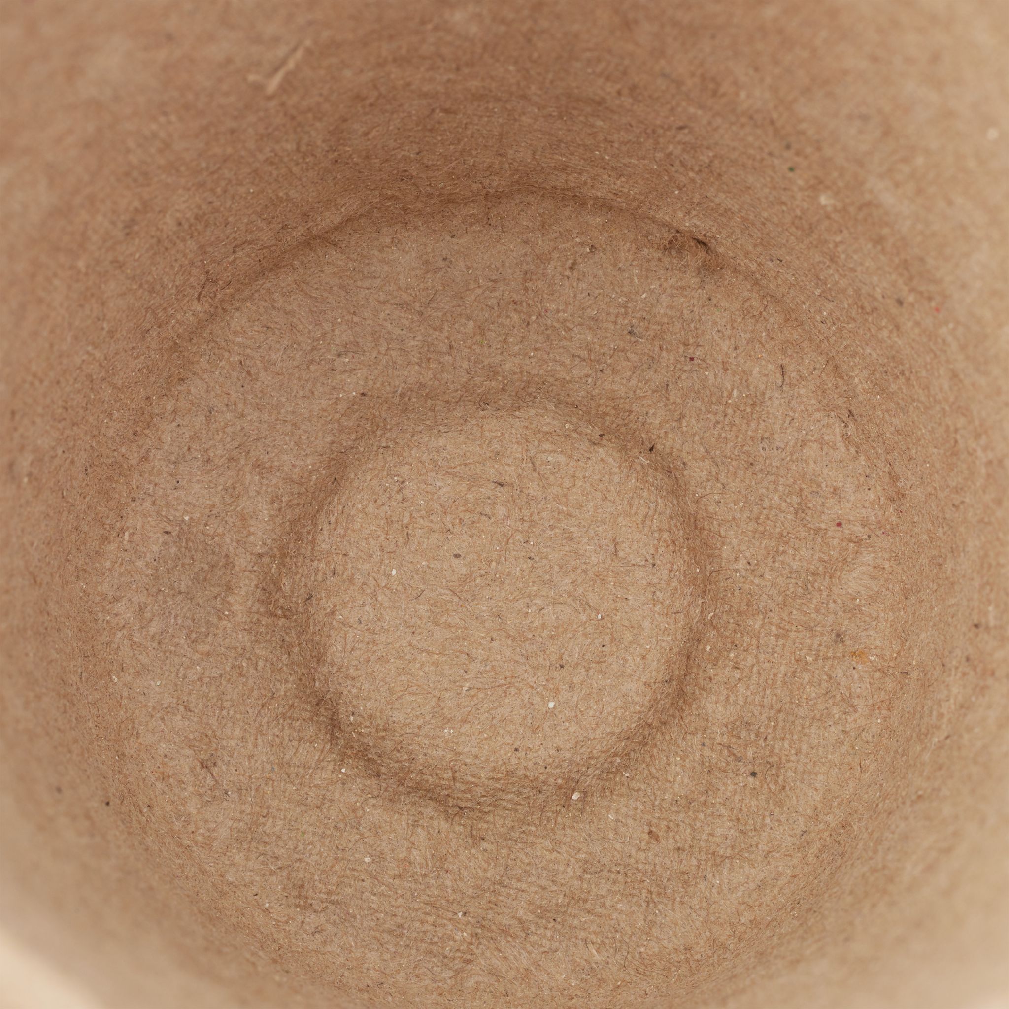 Abbaubare Anzuchttöpfe 80er-Set Beige von Relaxdays
