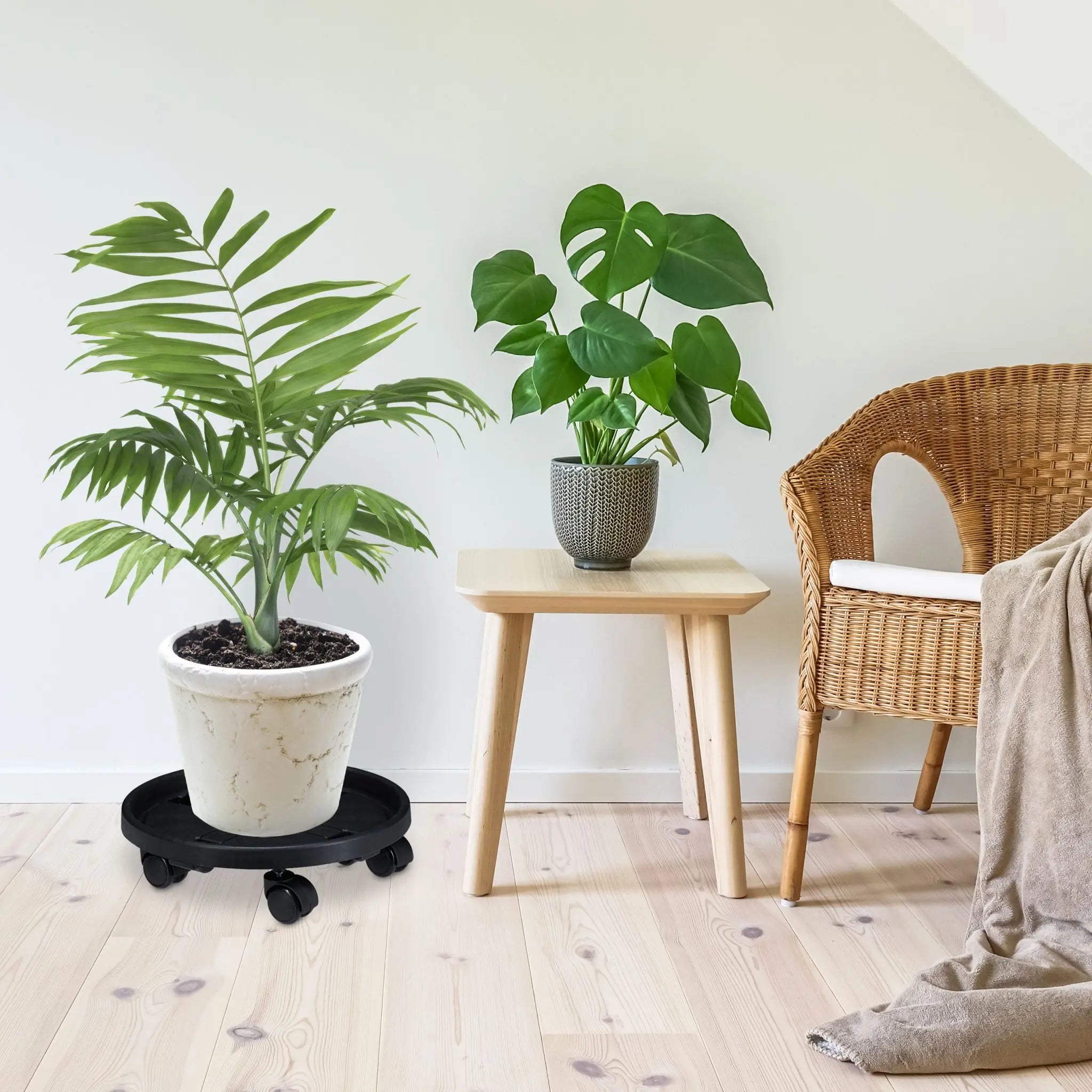 Pflanzenroller Kunststoff gross 2er-Set Schwarz von Relaxdays