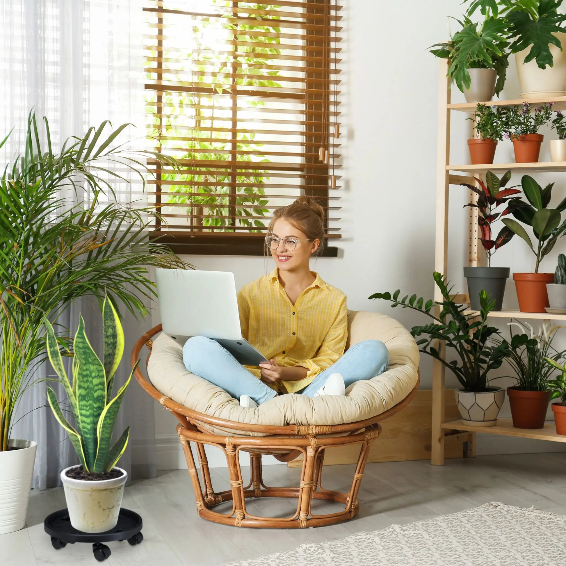 Pflanzenroller Kunststoff gross 2er-Set Schwarz von Relaxdays