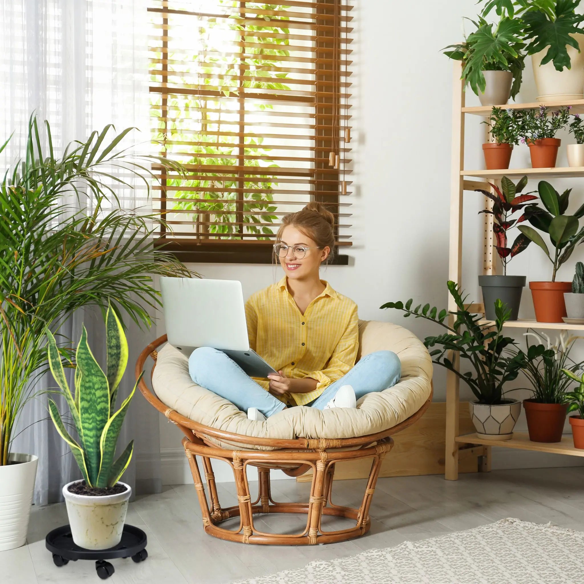 Pflanzenroller Kunststoff gross 2er-Set Schwarz von Relaxdays