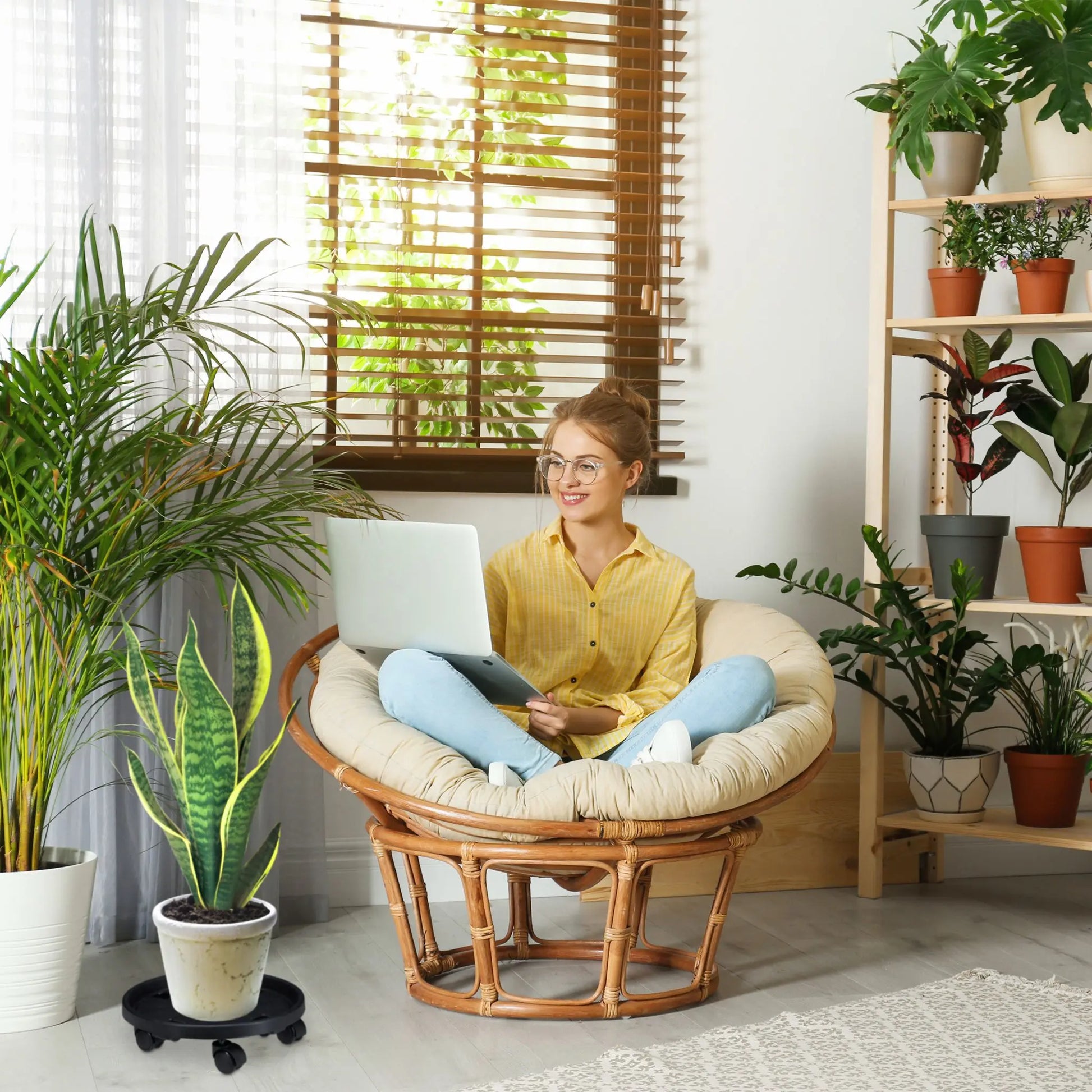 Pflanzenroller Kunststoff klein 2er-Set Schwarz von Relaxdays