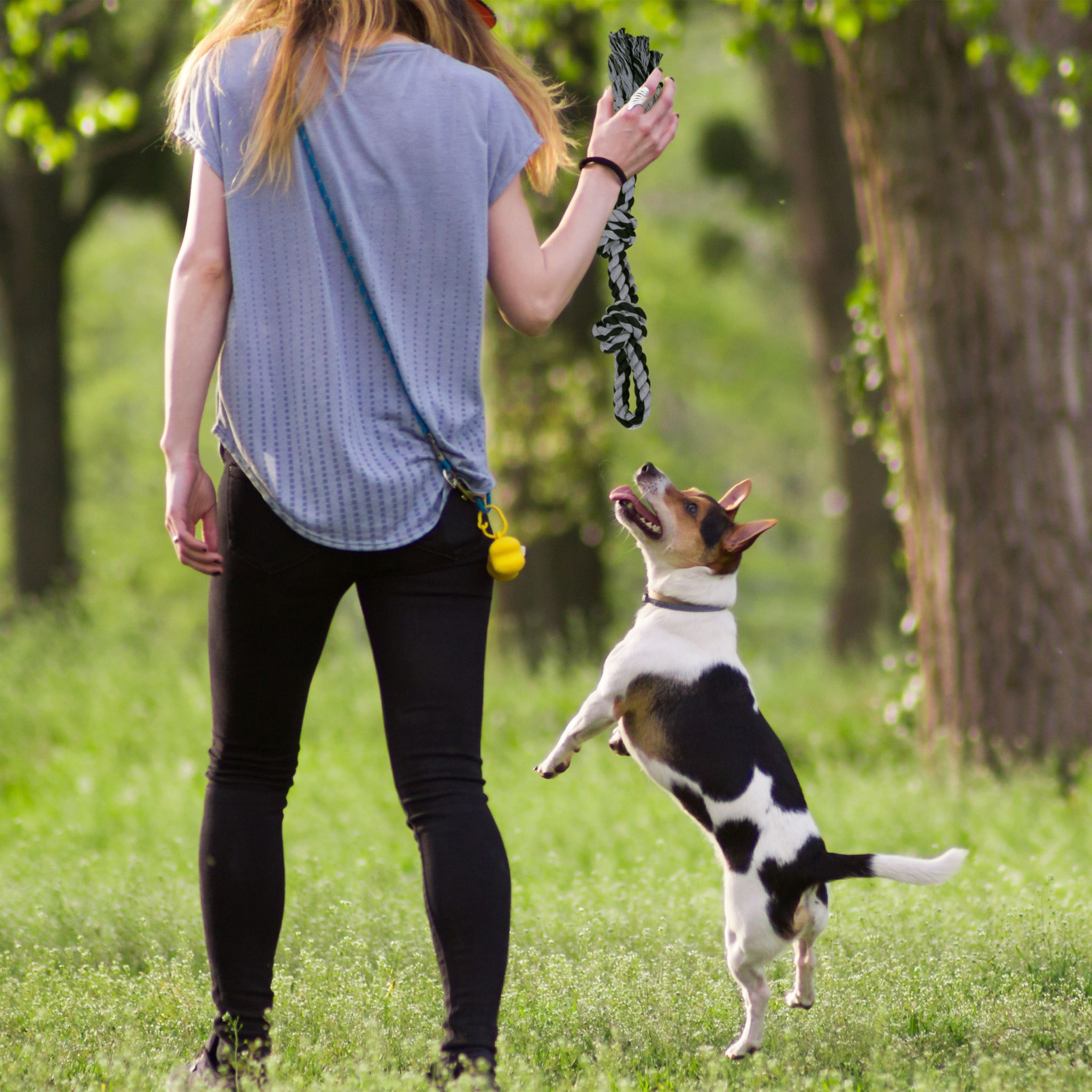 Hundespielzeug Seil 2er-Set Schwarz-Grau von Relaxdays