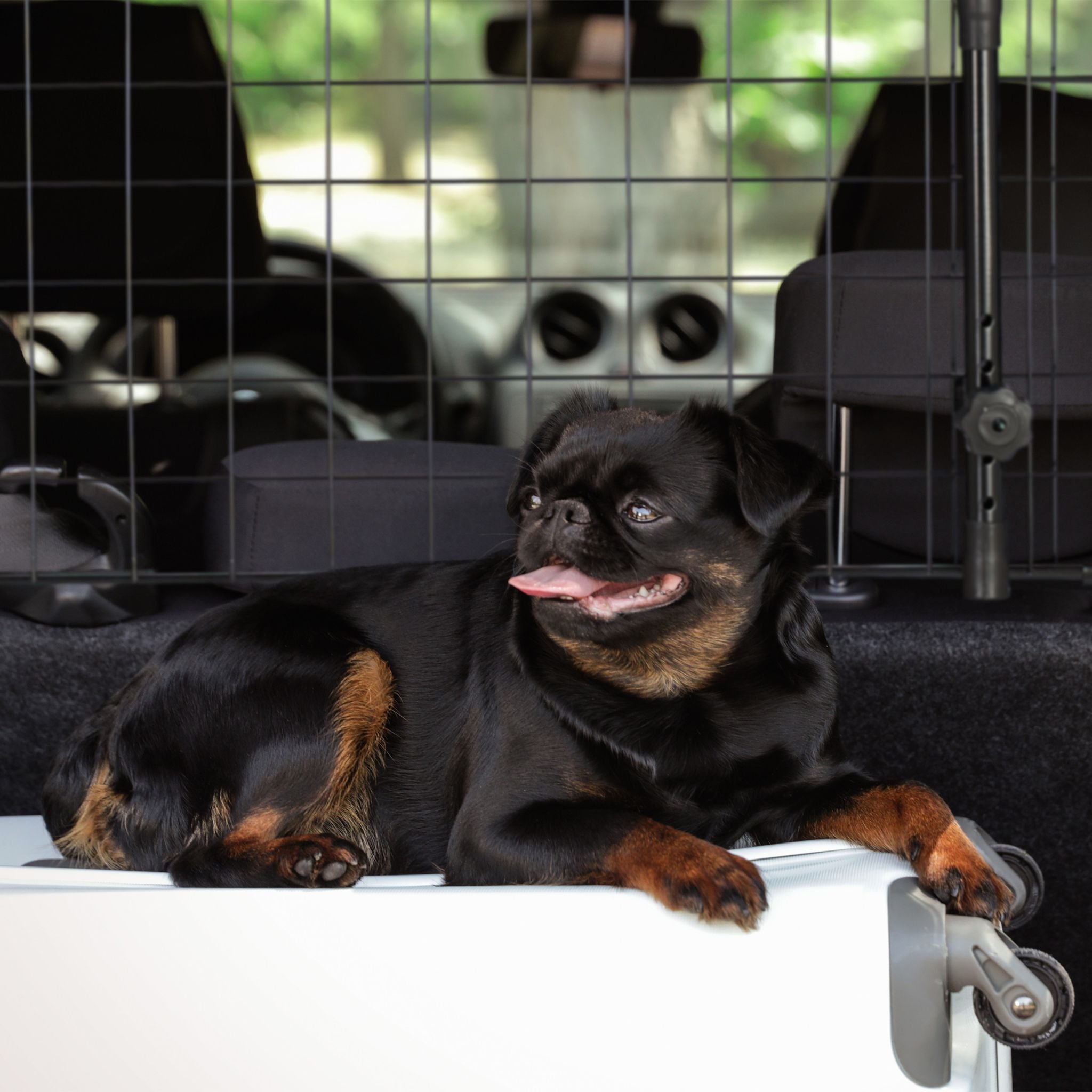 Hundegitter Auto Universal Schwarz von Relaxdays