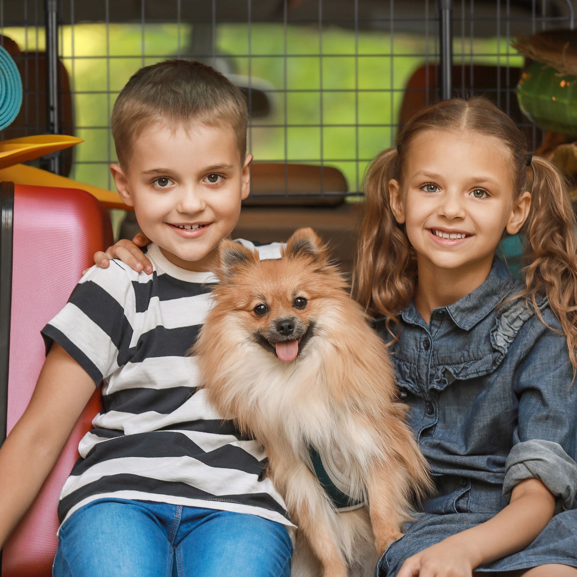 Hundegitter Auto Universal Schwarz von Relaxdays