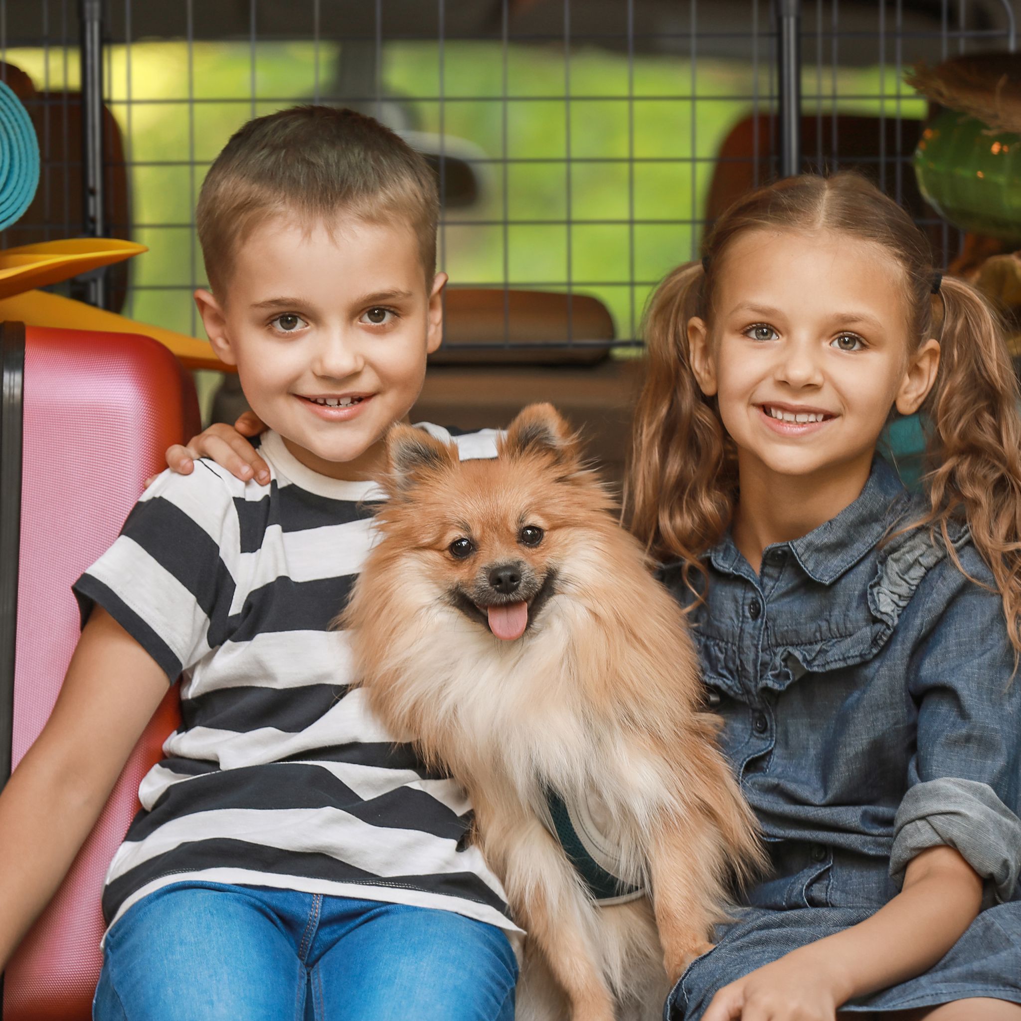 Hundegitter Auto Universal Schwarz von Relaxdays