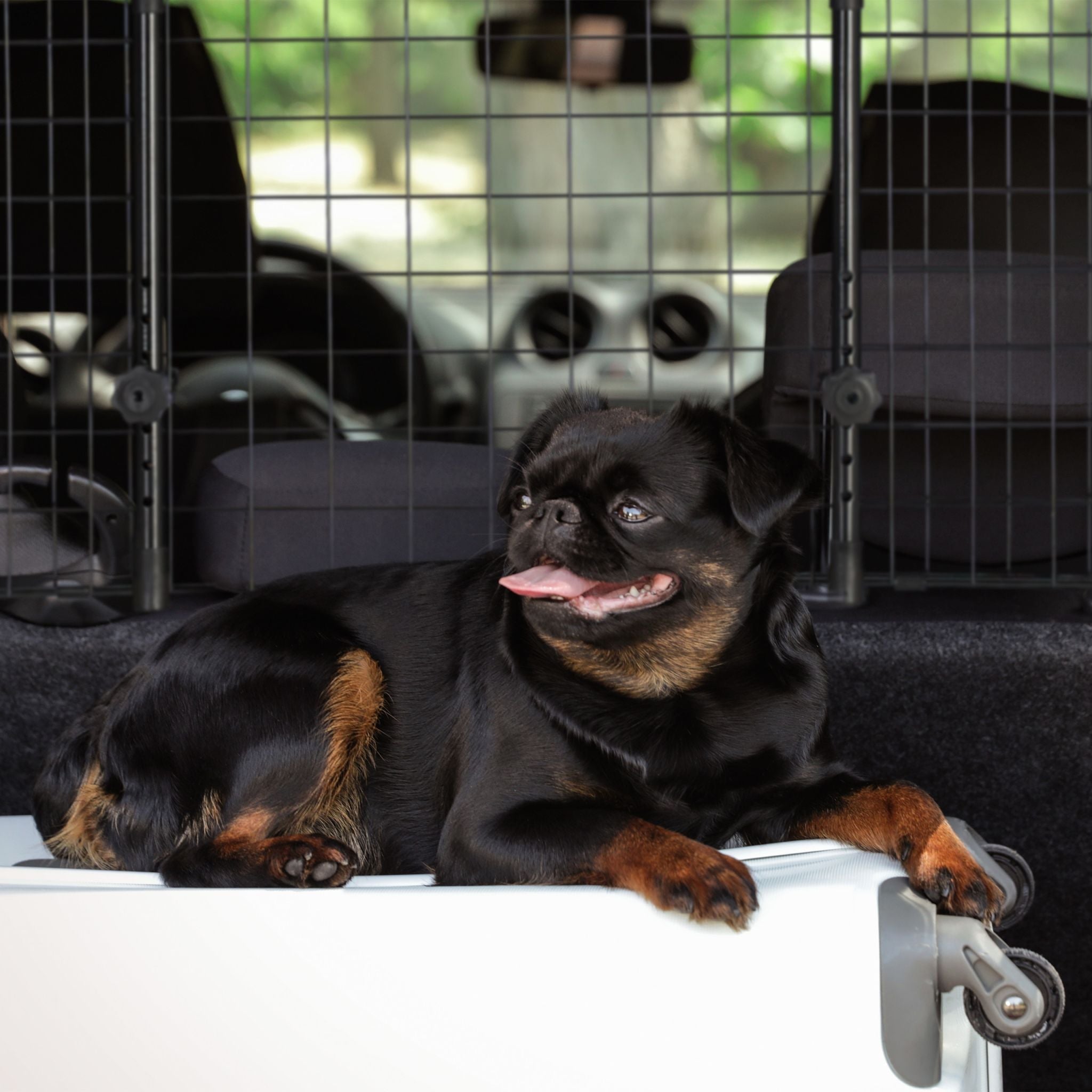 Hundegitter Auto Universal gross Schwarz von Relaxdays