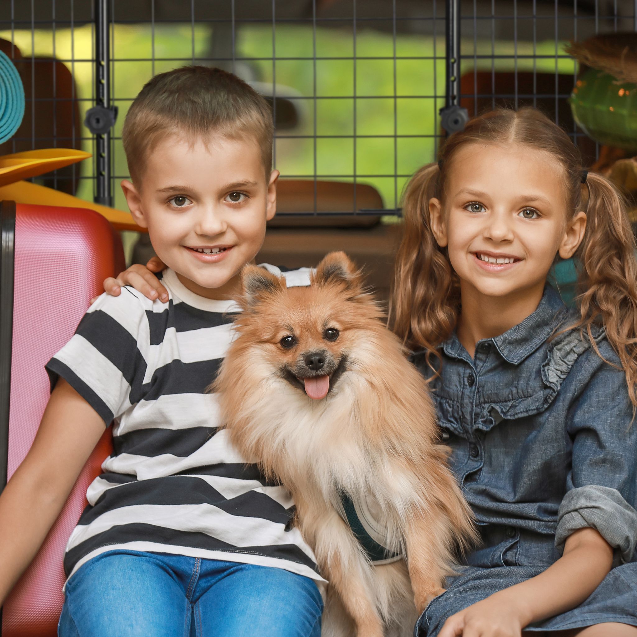 Hundegitter Auto Universal gross Schwarz von Relaxdays