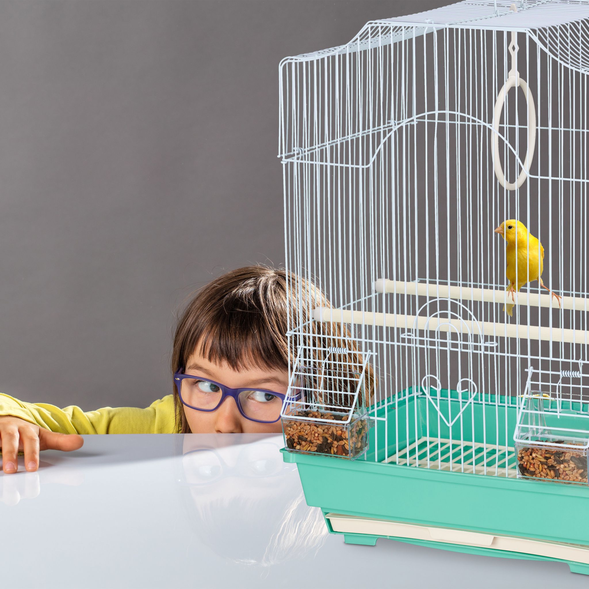 Vogelkäfig mit Sitzstangen Hellblau-Türkis von Relaxdays