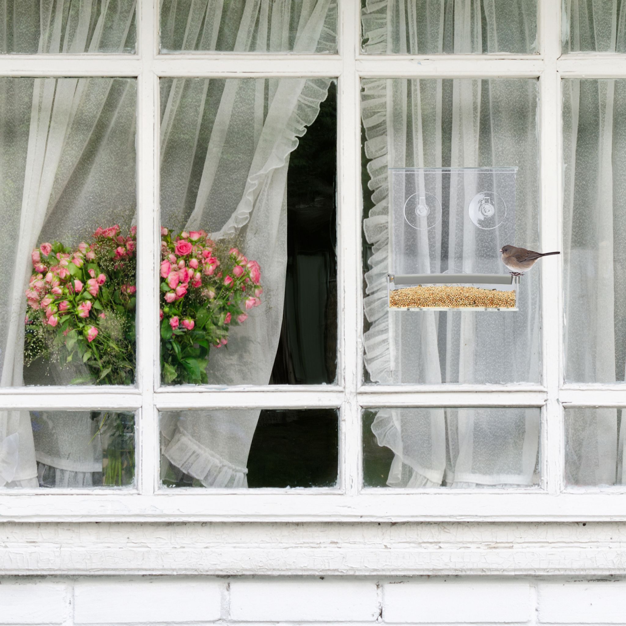 Vogelfutterhaus für Fenster Transparent-Grau