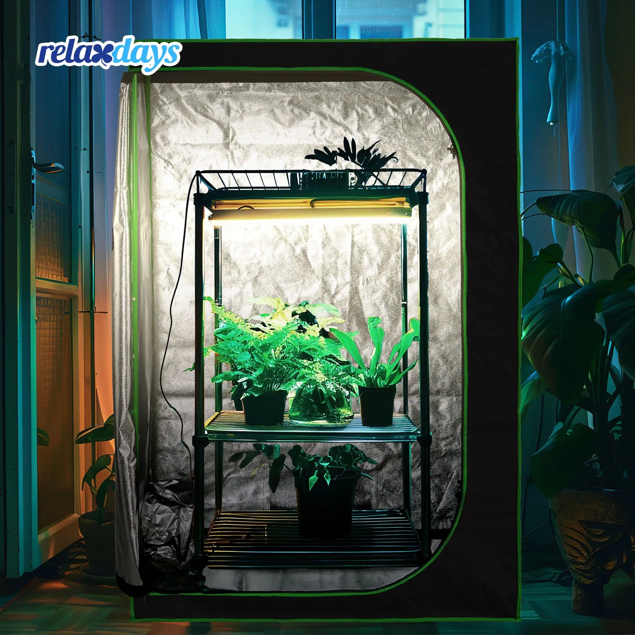Growzelt für innen Grün-Schwarz von Relaxdays