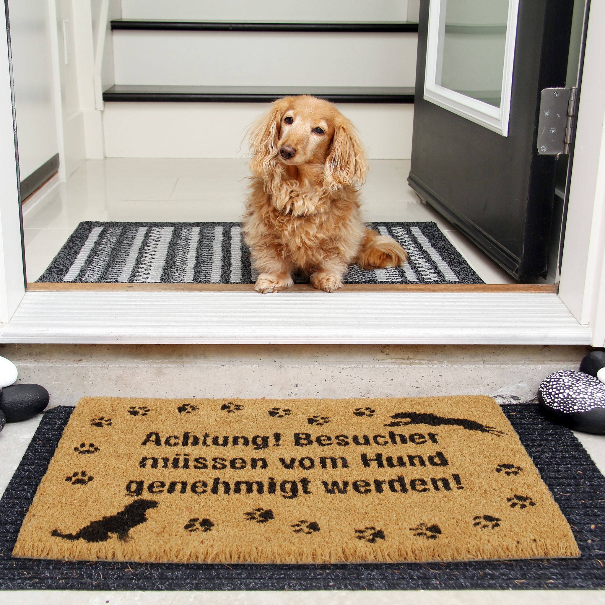 Fussmatte Kokos Hund Hellbraun-Schwarz von Relaxdays