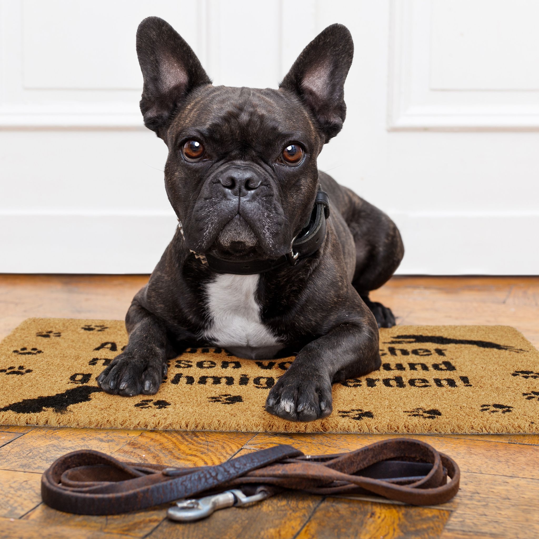Fussmatte Kokos Hund Hellbraun-Schwarz von Relaxdays