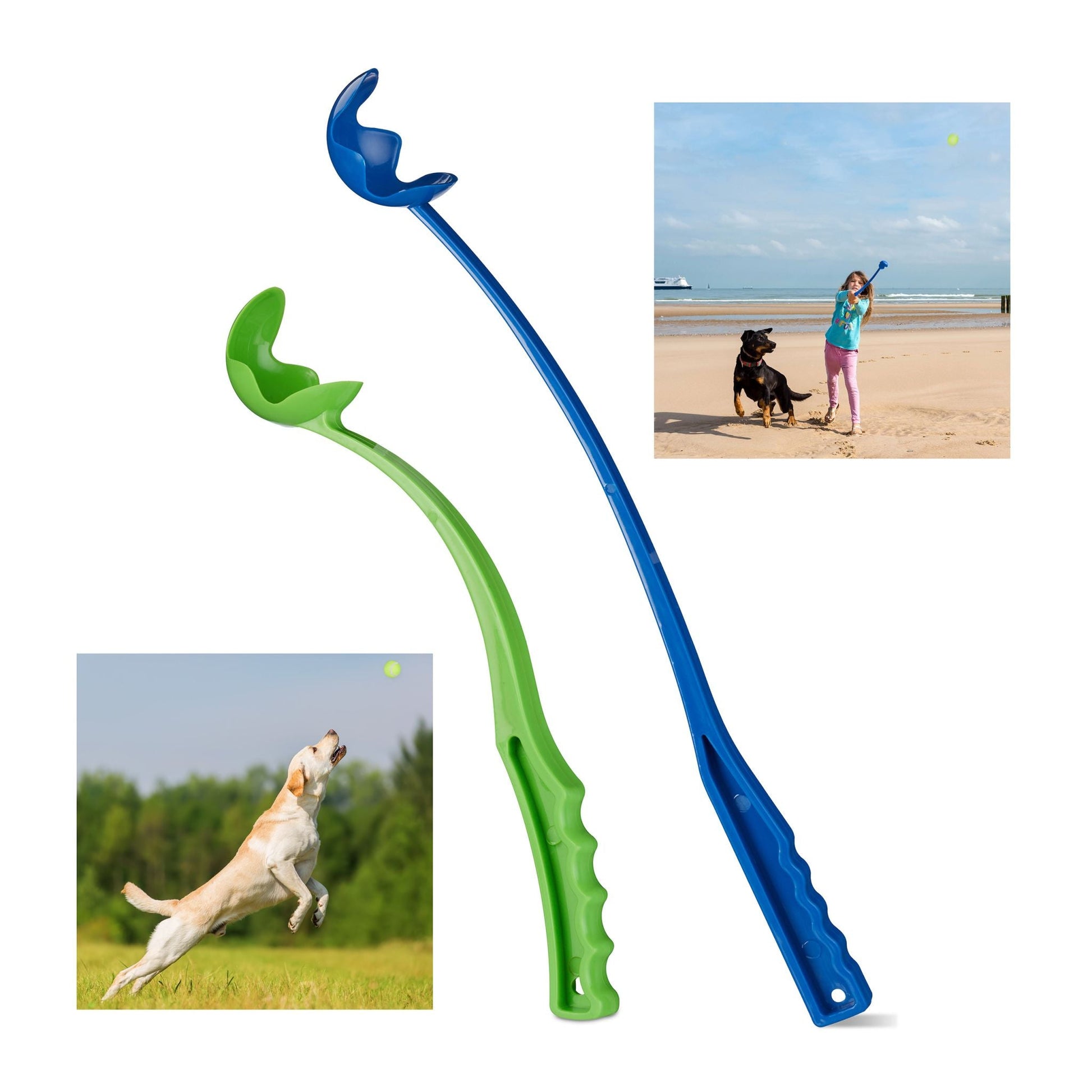 Ballschleuder für Hunde 2er-Set Blau-Grün von Relaxdays