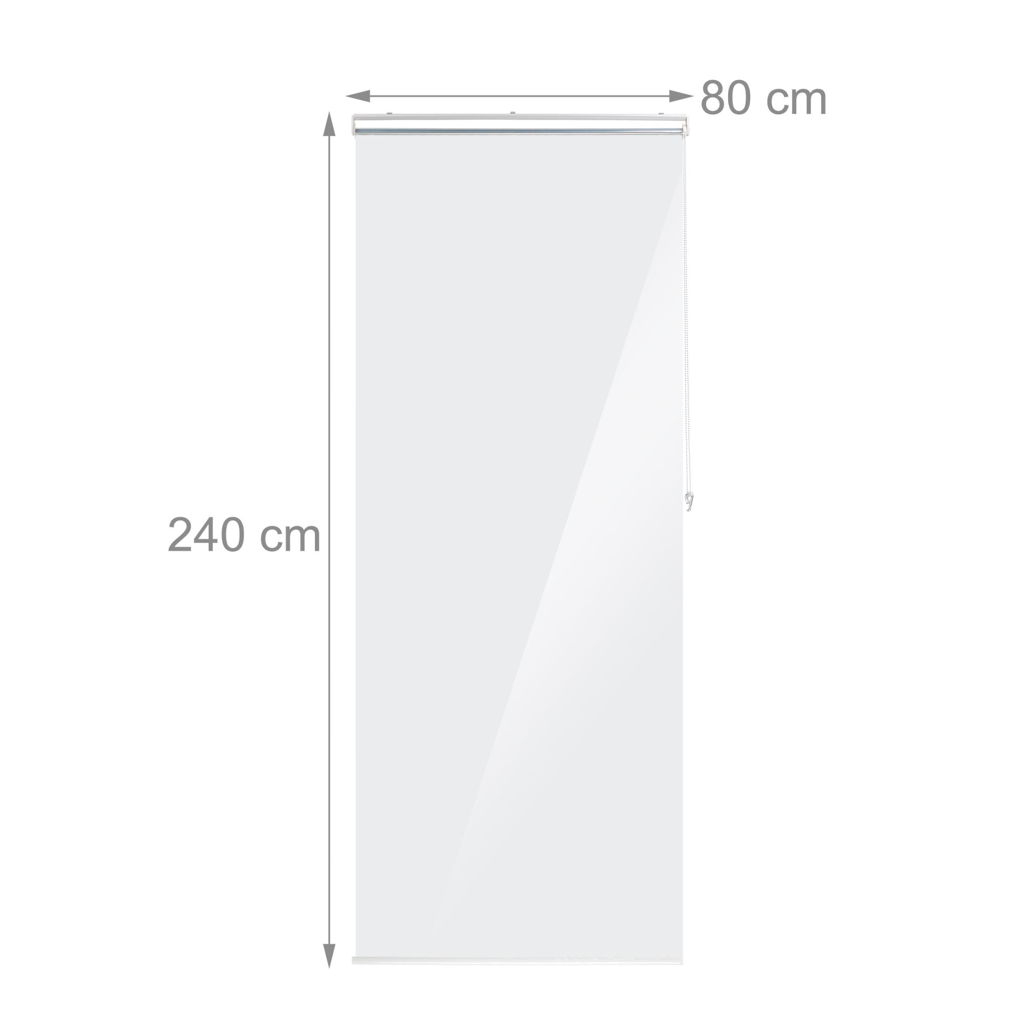 Duschrollo Transparent von Relaxdays