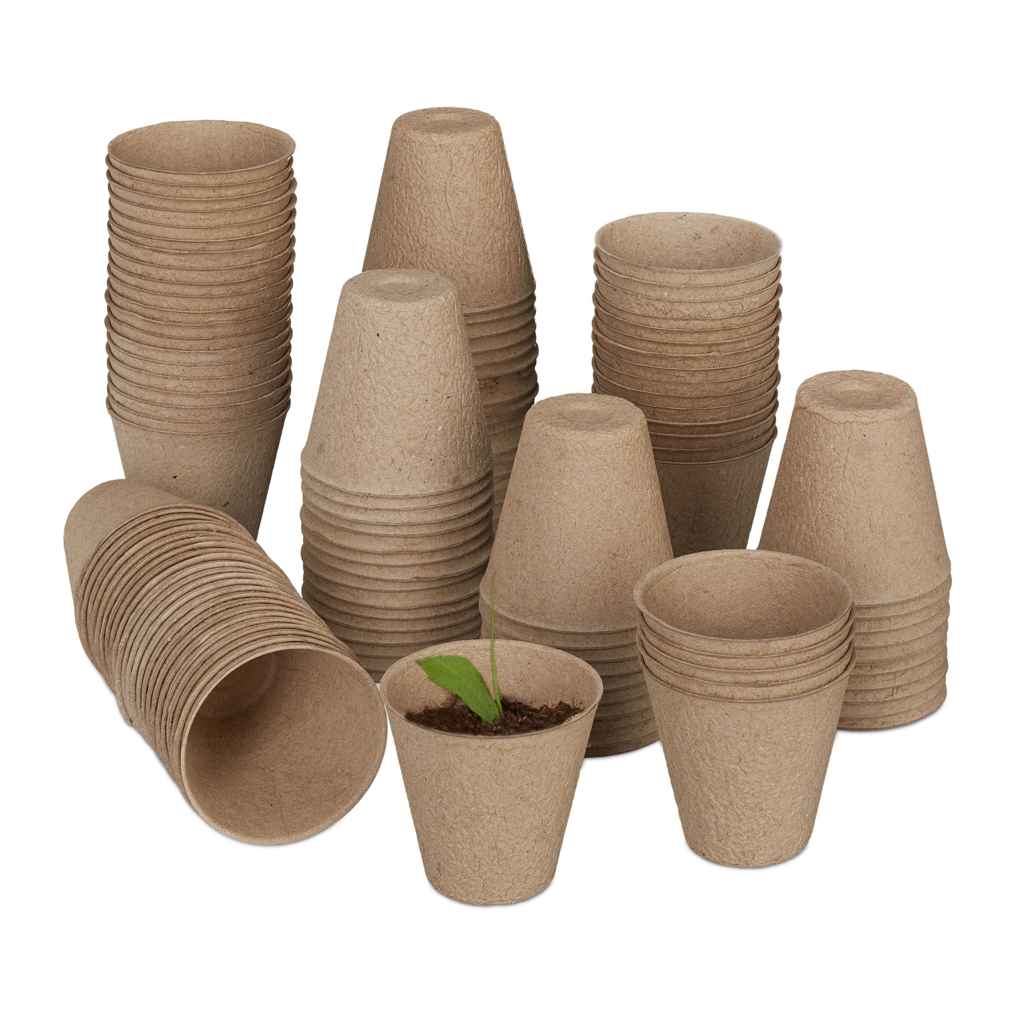 Anzuchttöpfe 120er-Set Beige von Relaxdays