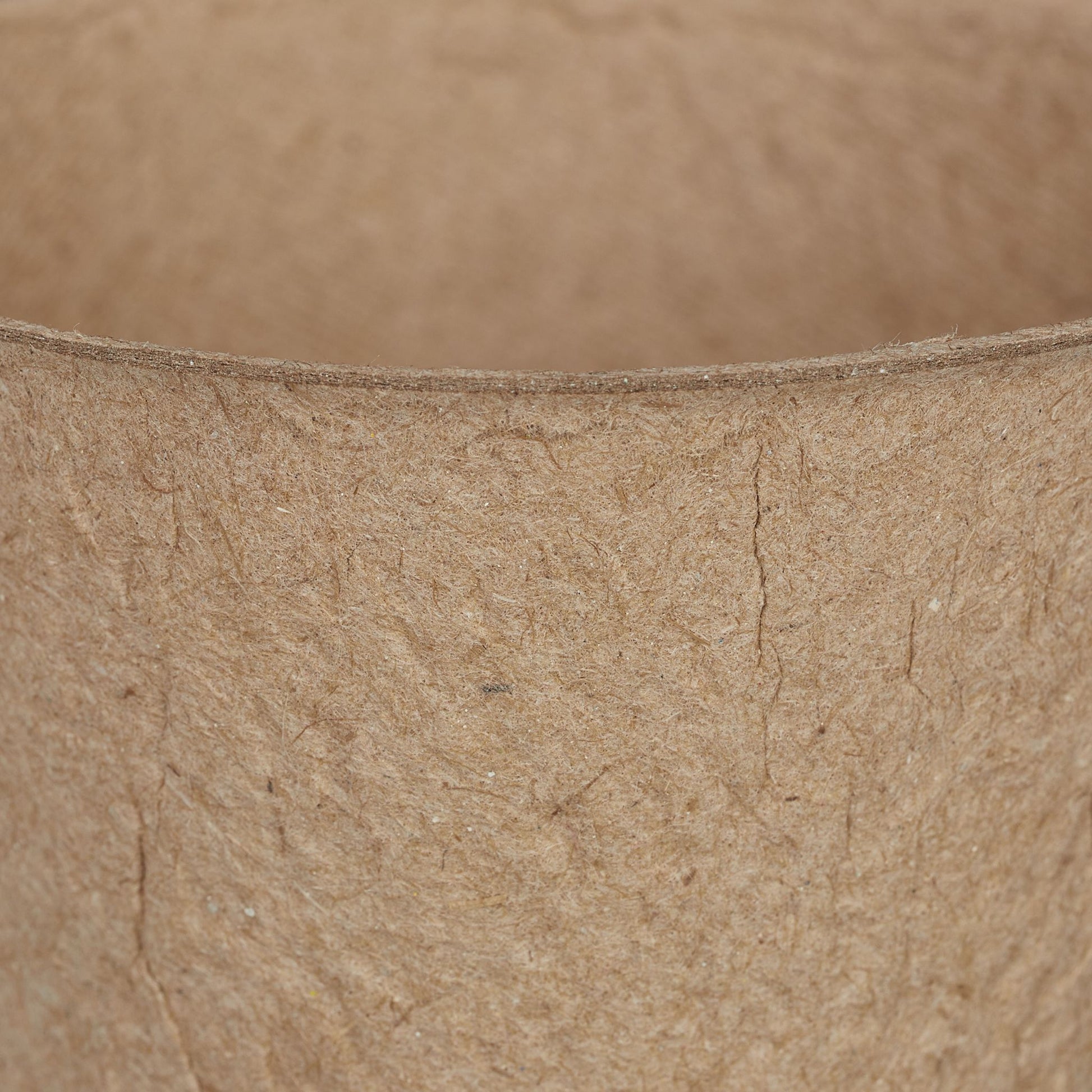 Anzuchttöpfe 120er-Set Beige von Relaxdays