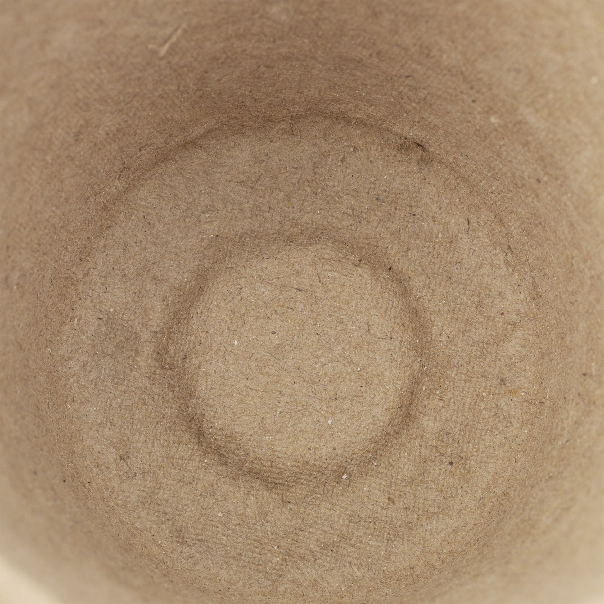 Anzuchttöpfe 120er-Set Beige von Relaxdays