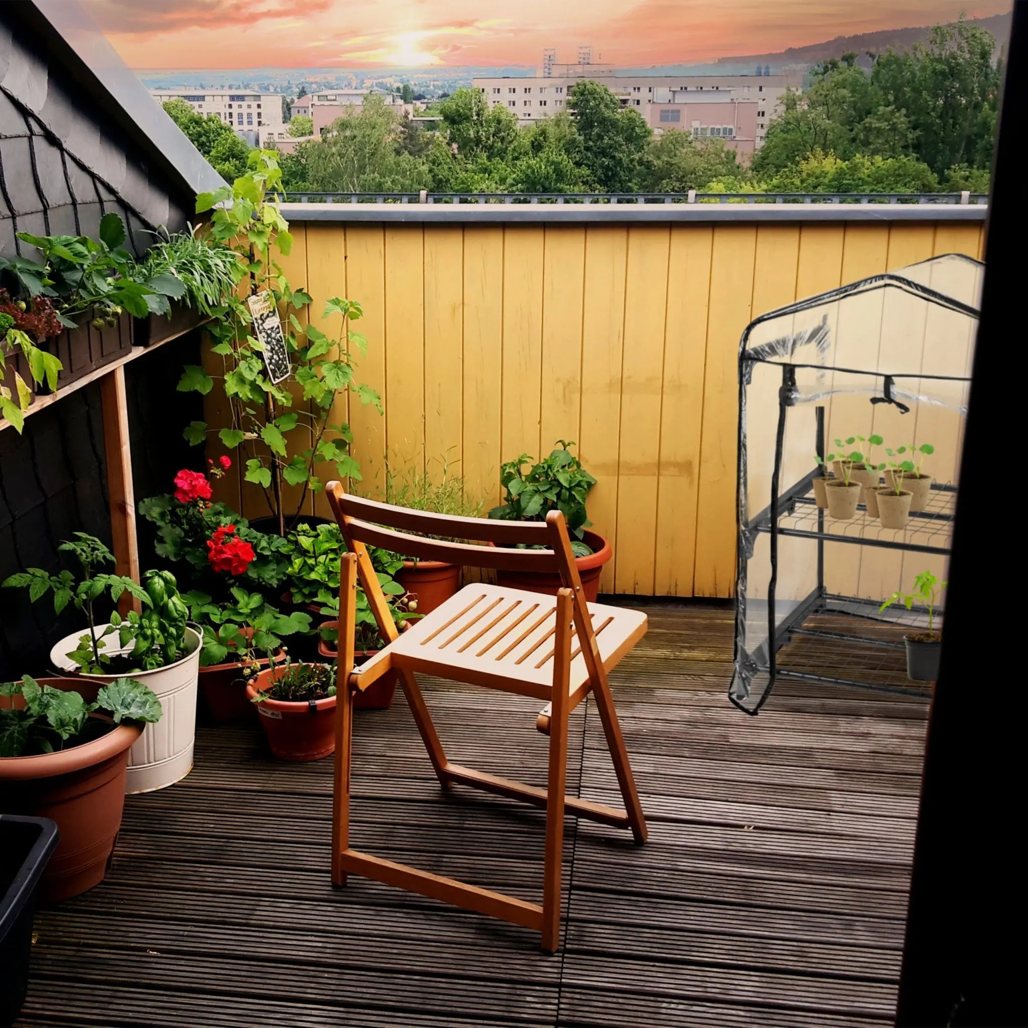 Gewächshaus für Balkon mit 2 Ebenen Schwarz-Transparent von Relaxdays