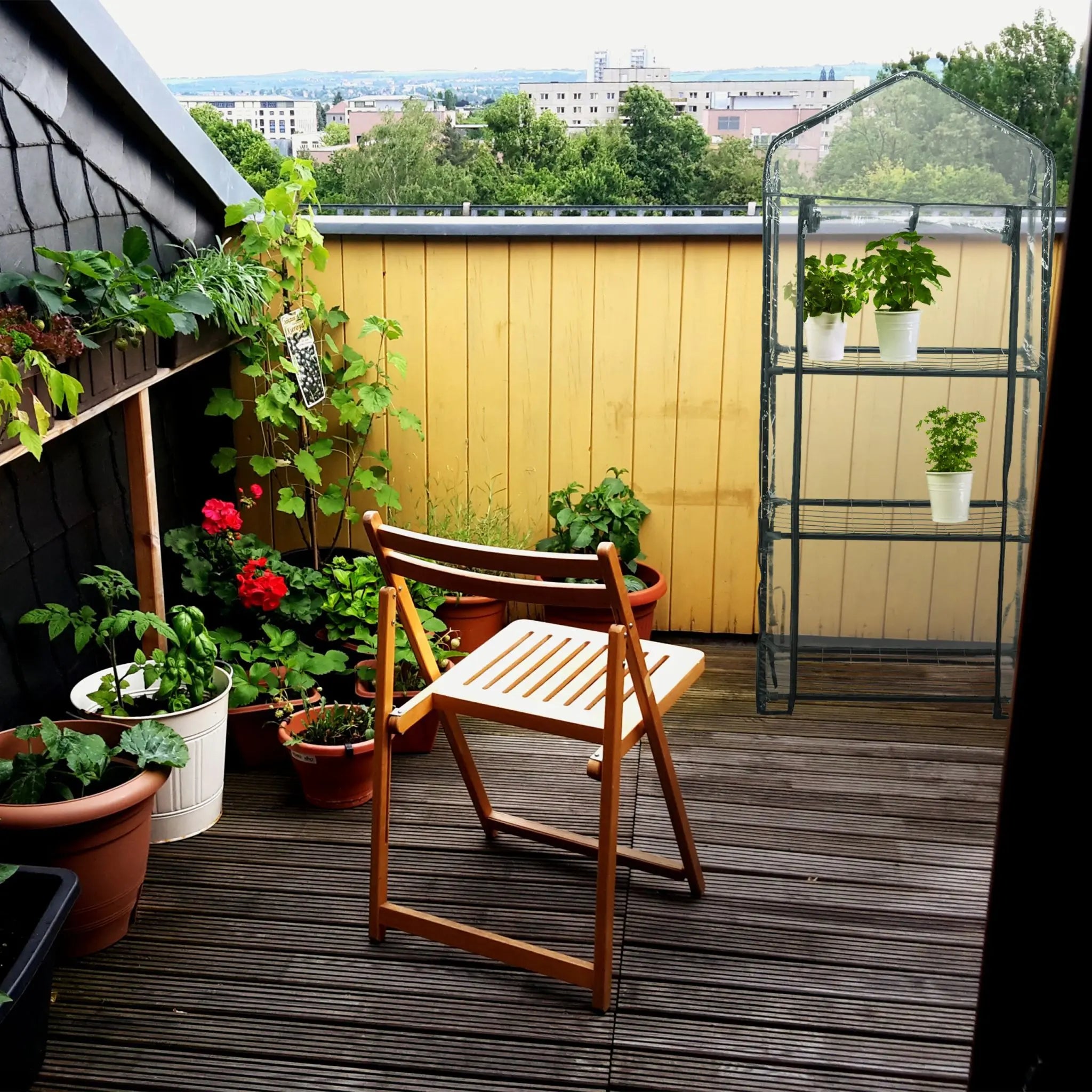 Gewächshaus für Balkon mit 3 Ebenen Schwarz-Transparent von Relaxdays