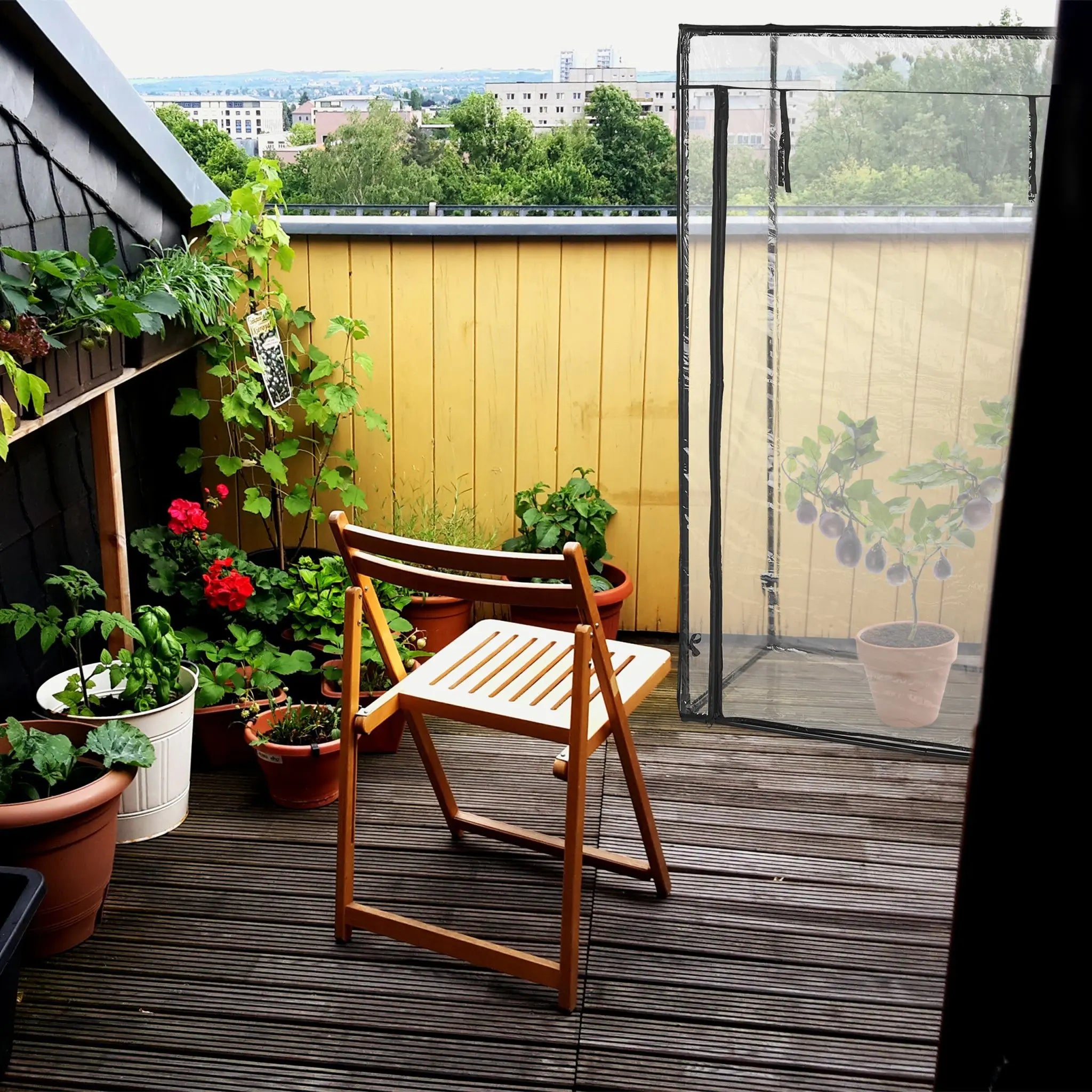 Tomatengewächshaus mit PVC-Folie Schwarz-Transparent von Relaxdays