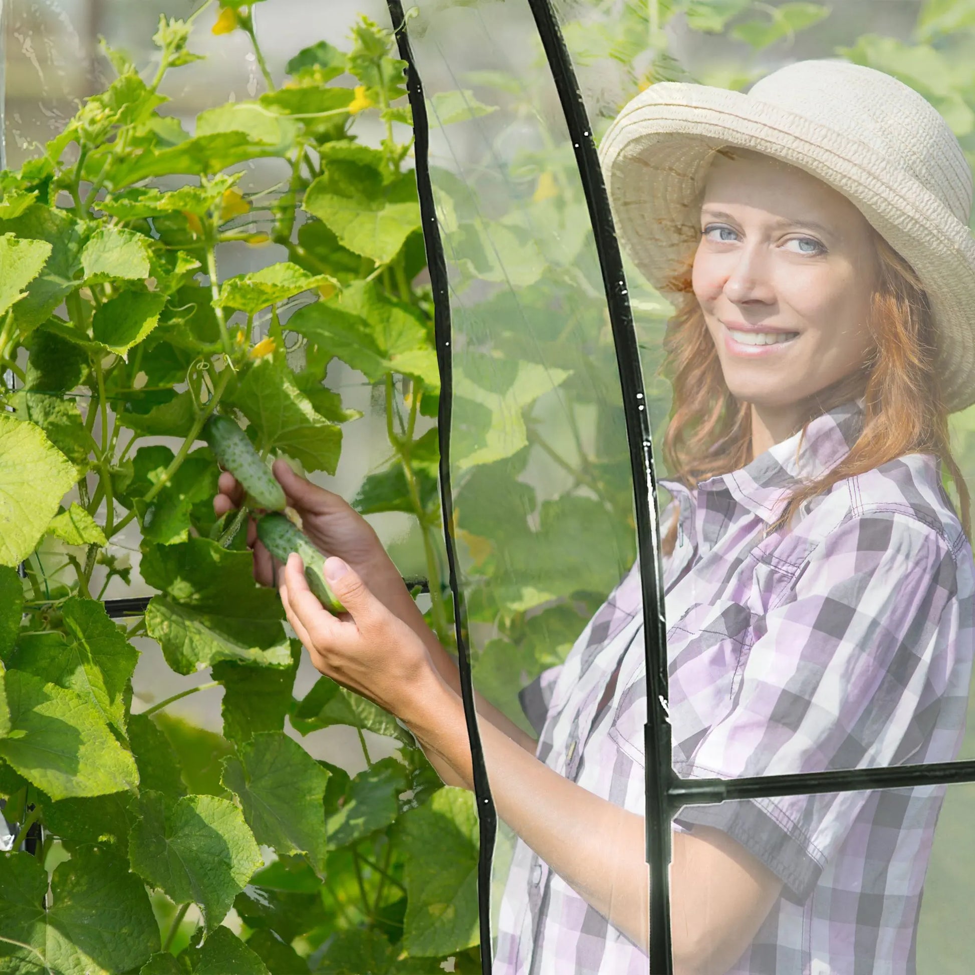 Begehbares Tomatengewächshaus mit Folie Schwarz-Transparent von Relaxdays