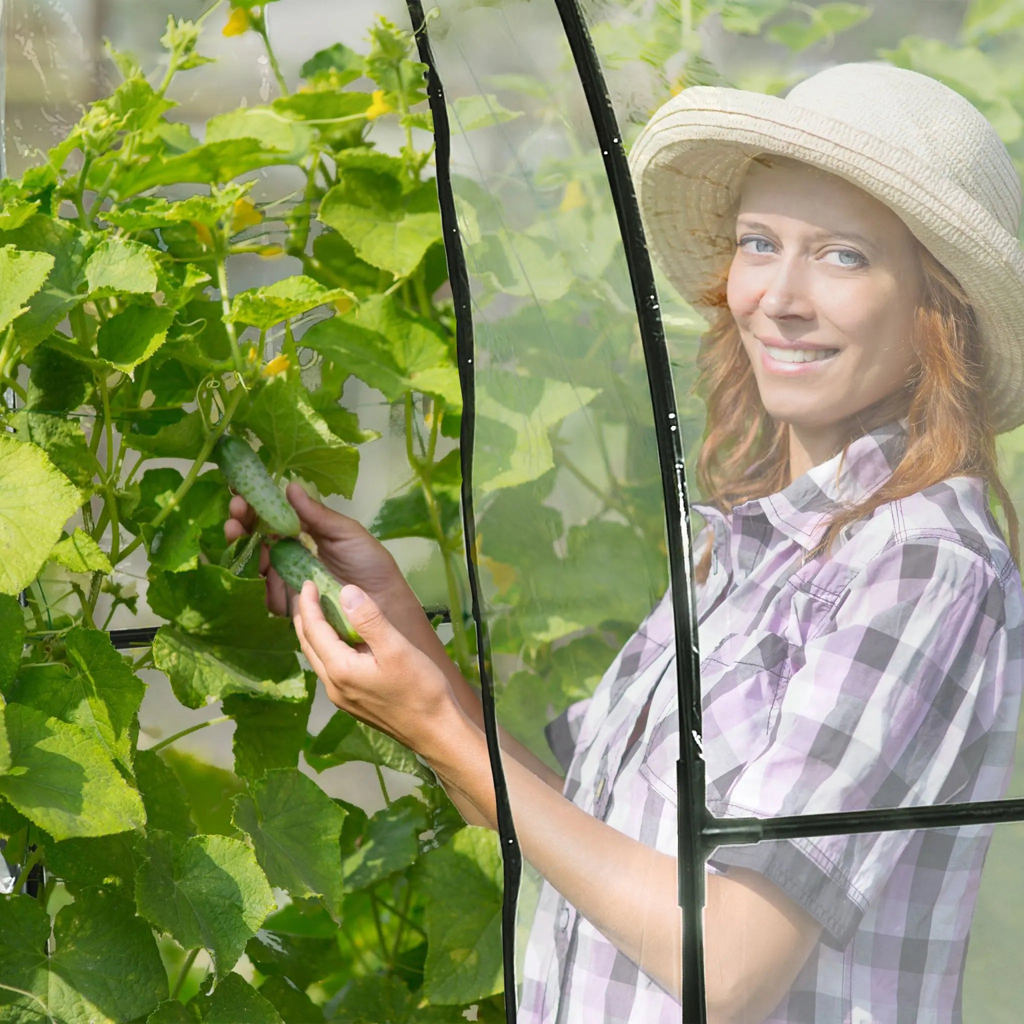 Begehbares Tomatengewächshaus mit Folie Schwarz-Transparent von Relaxdays