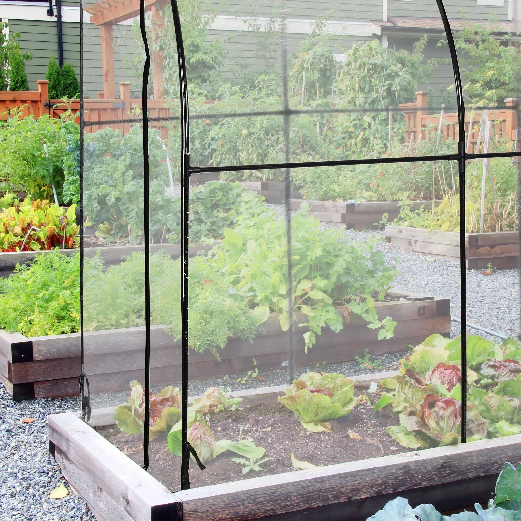 Begehbares Tomatengewächshaus mit Folie Schwarz-Transparent von Relaxdays
